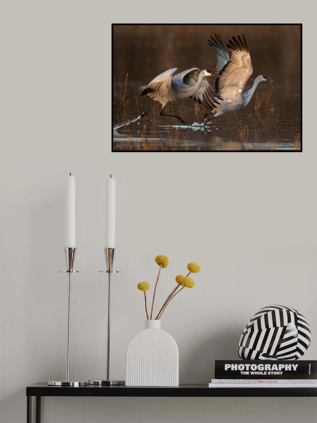 Taking Off at Sunrise Poster och Canvastavla