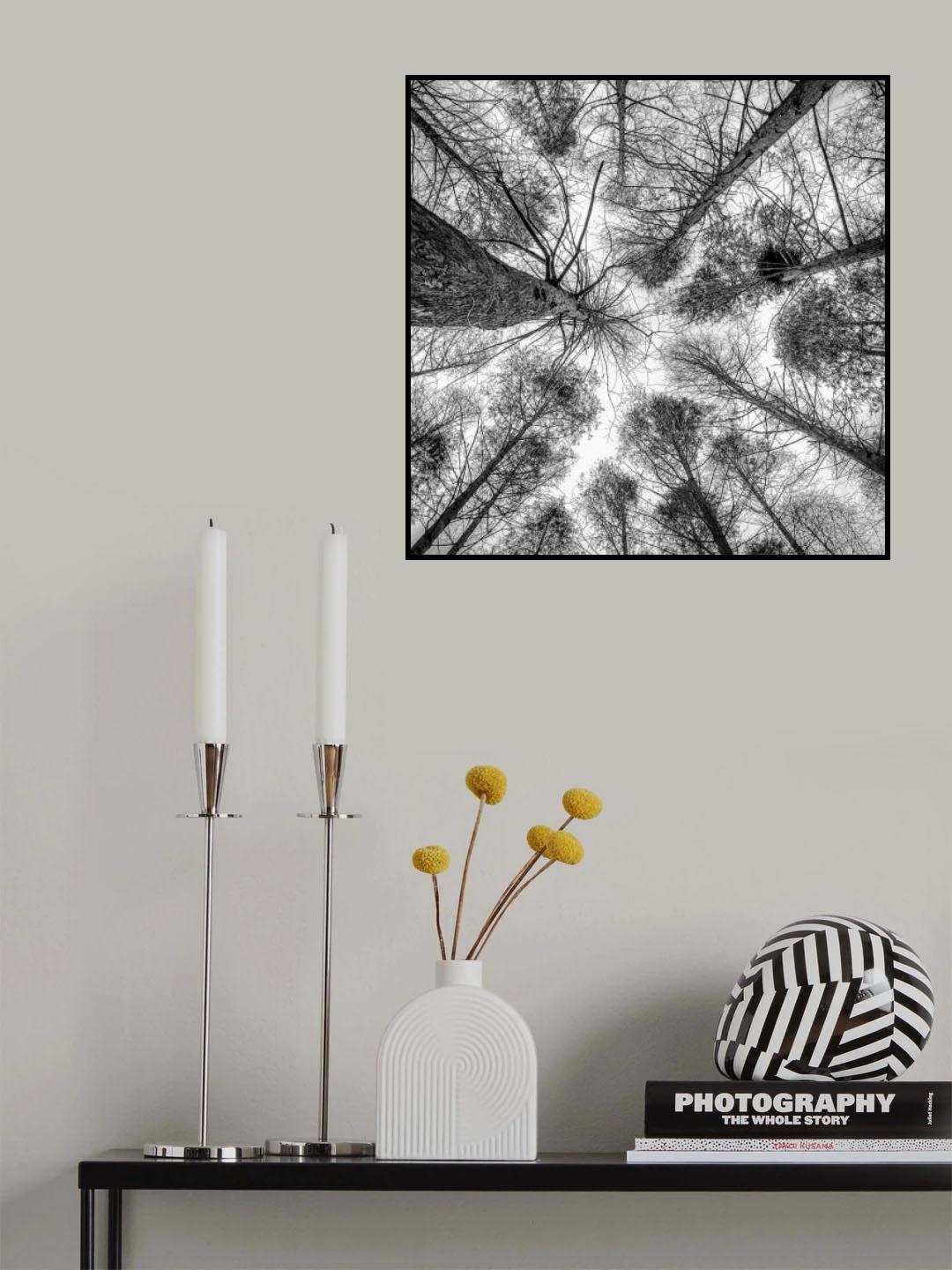 trees standing empty Poster och Canvastavla