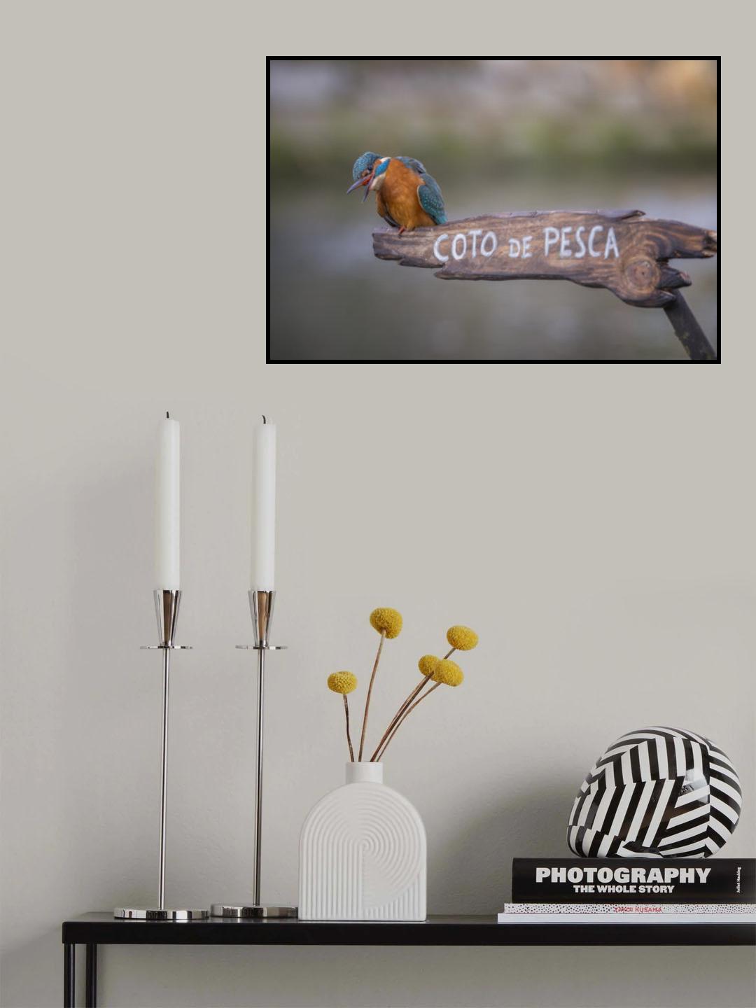 Fishing preserve Poster och Canvastavla