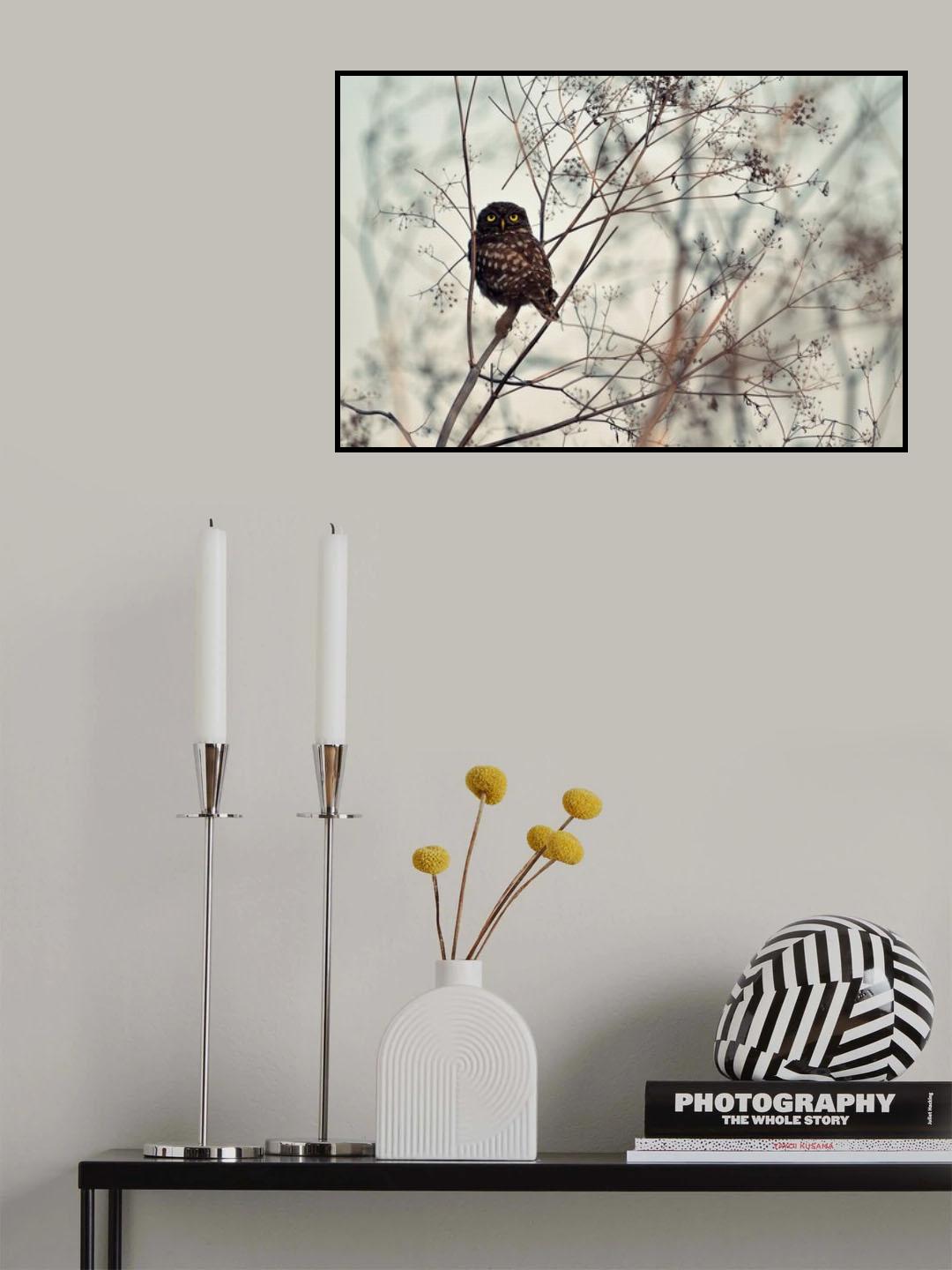 Look at Me! Poster och Canvastavla