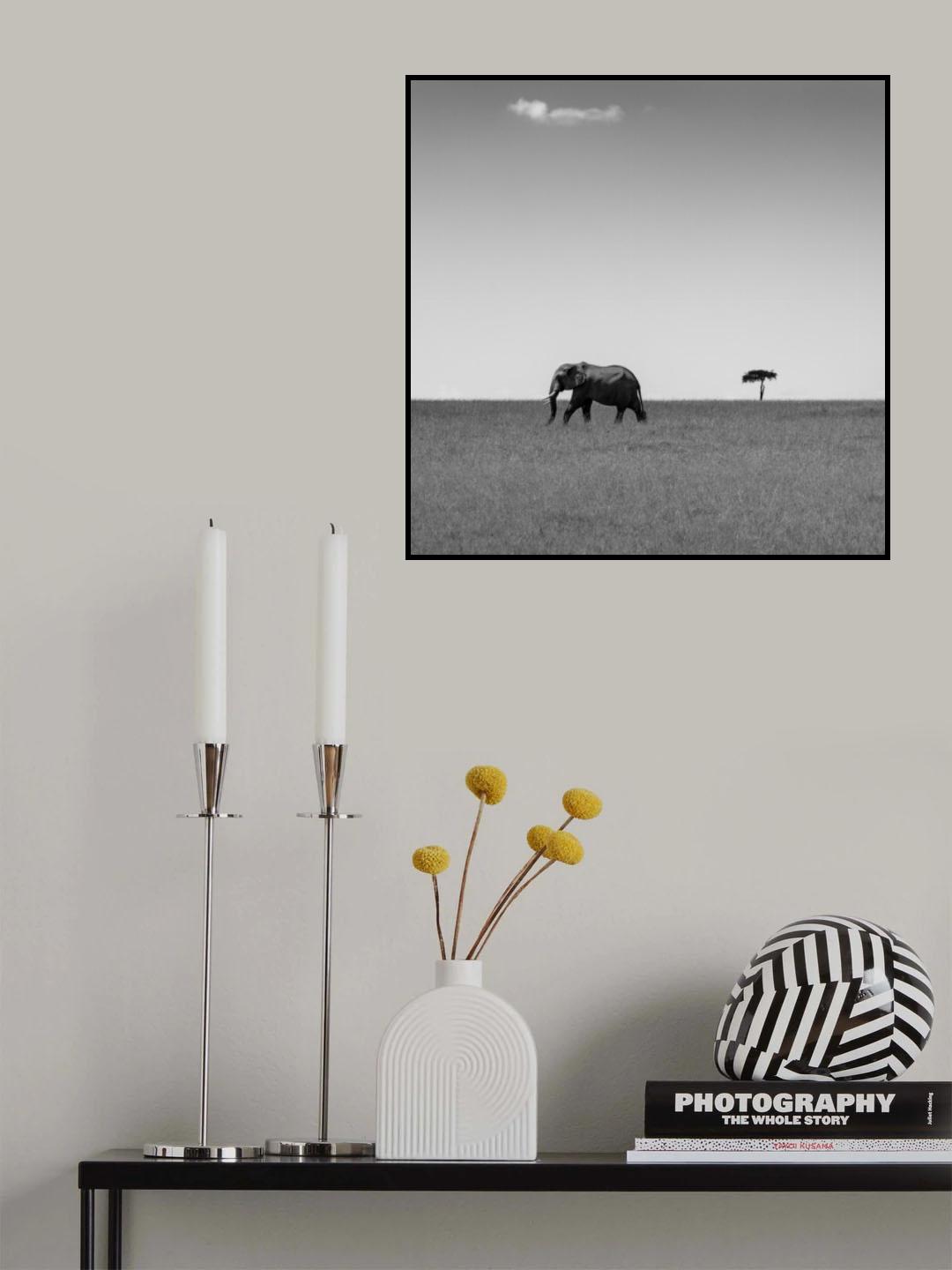 Elephant and the friendly cloud... Poster och Canvastavla