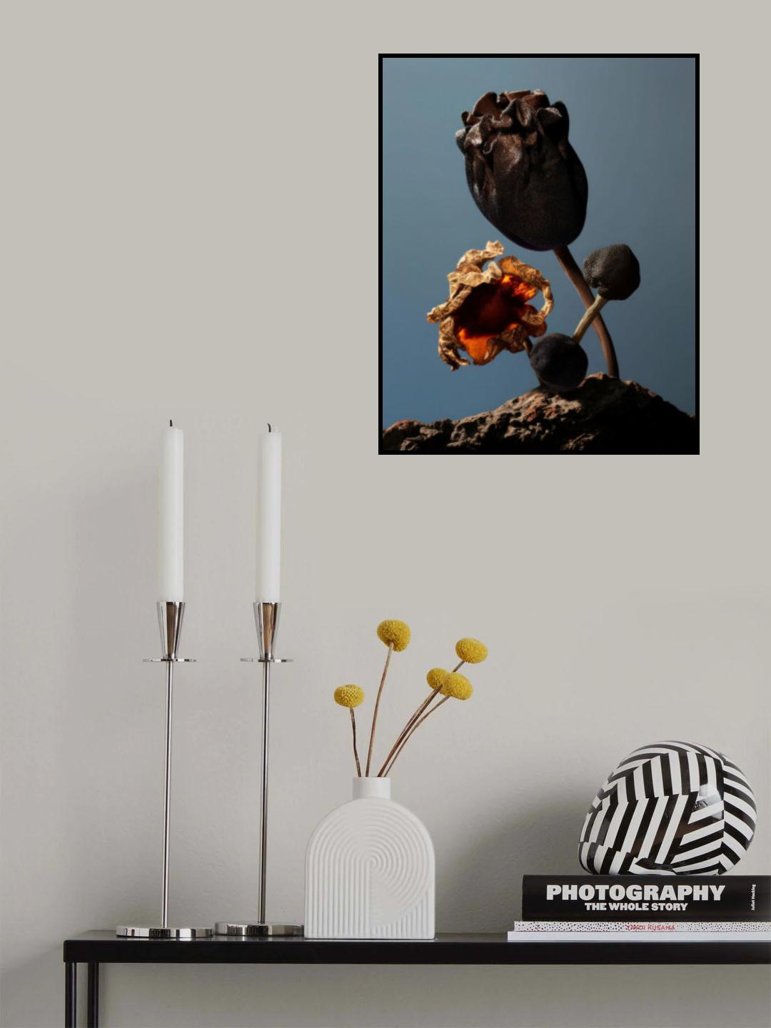 Still Life Flowers No2 Poster och Canvastavla