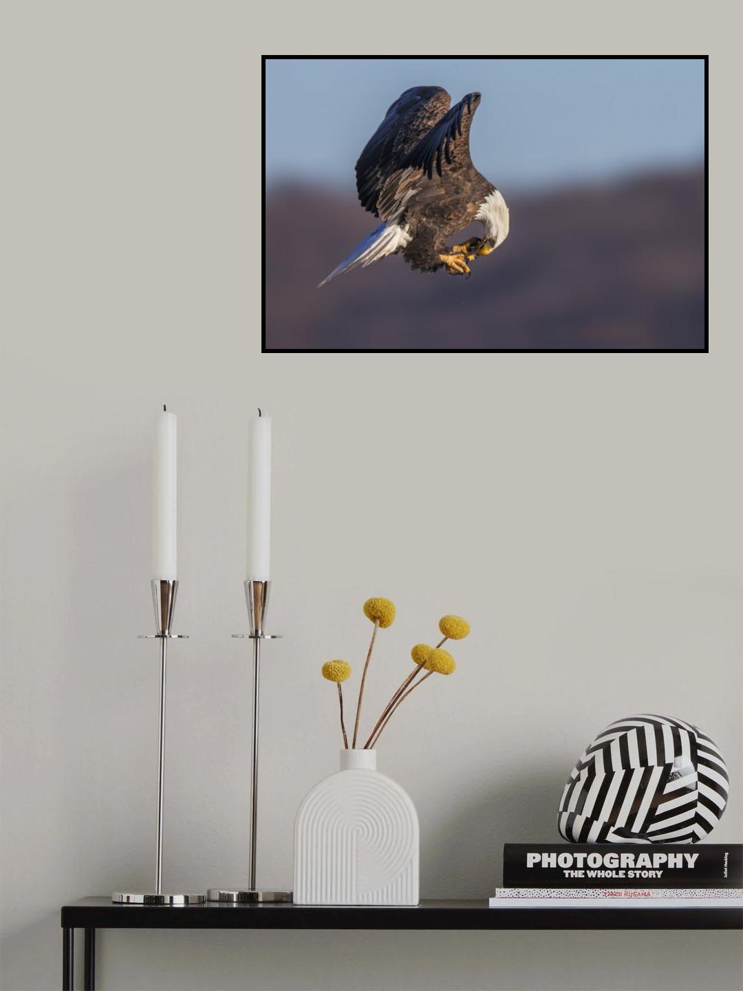 Too Hungry Poster och Canvastavla