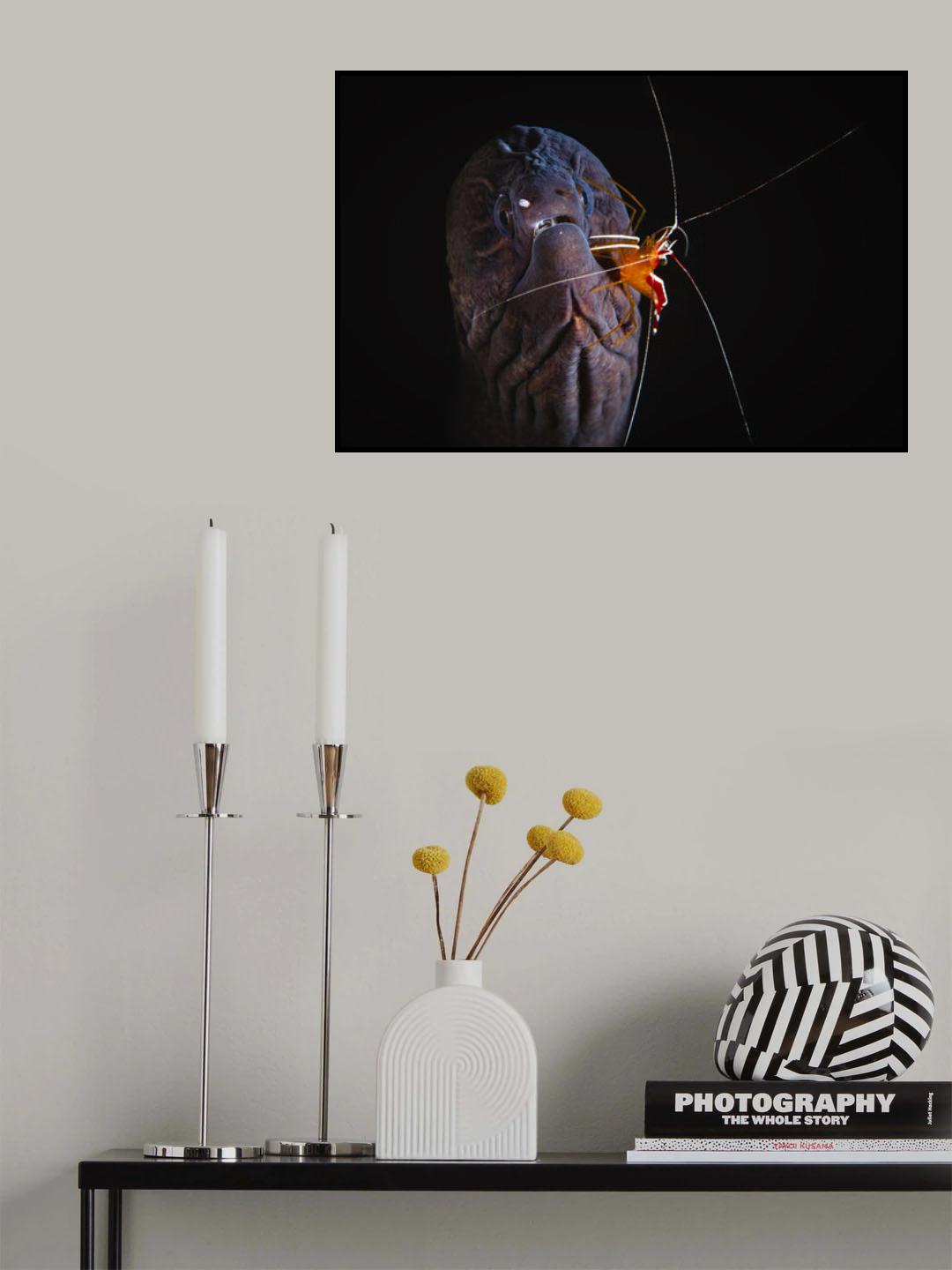 Cleaning session Poster och Canvastavla