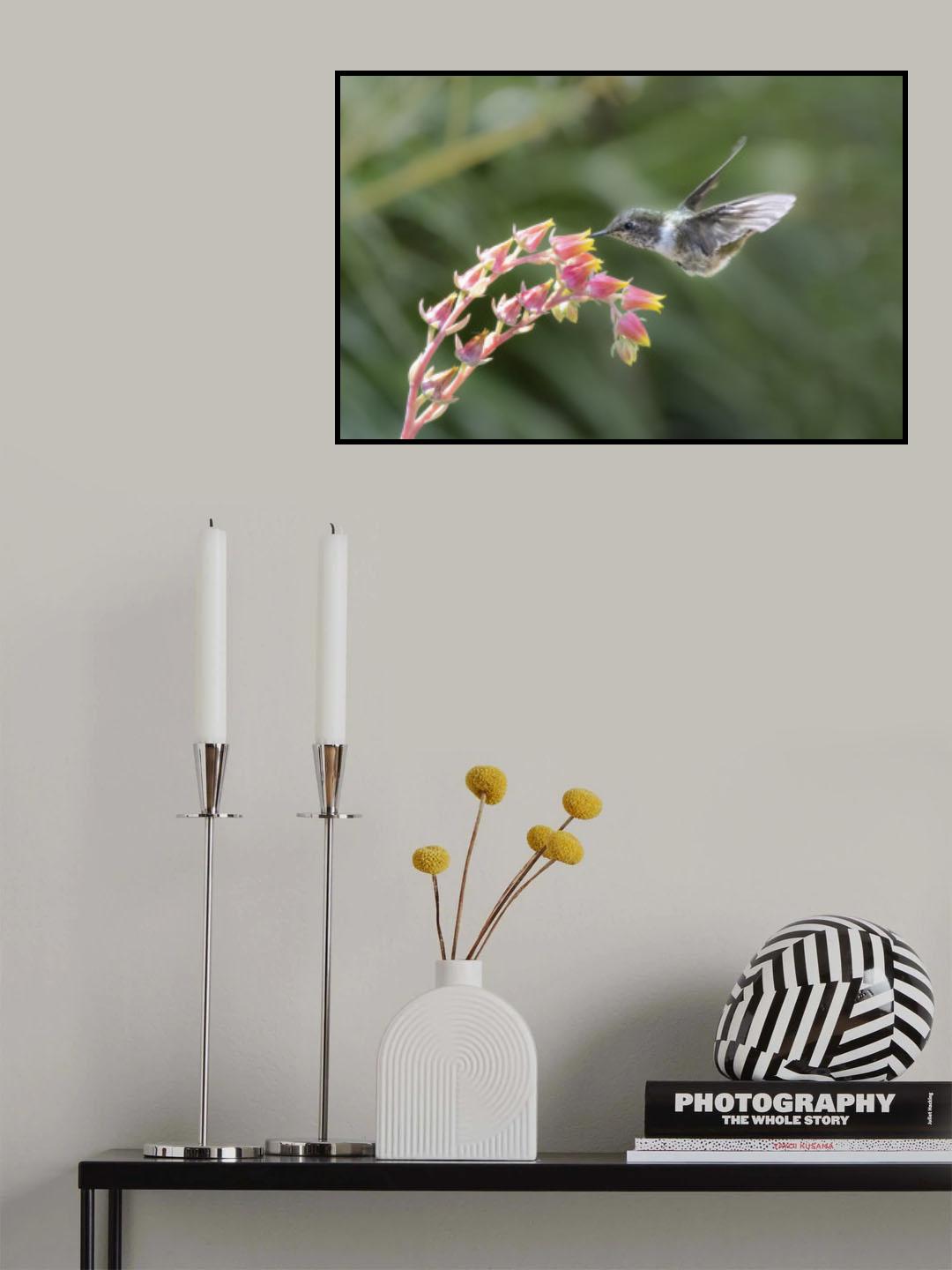 Humming Angel Poster och Canvastavla