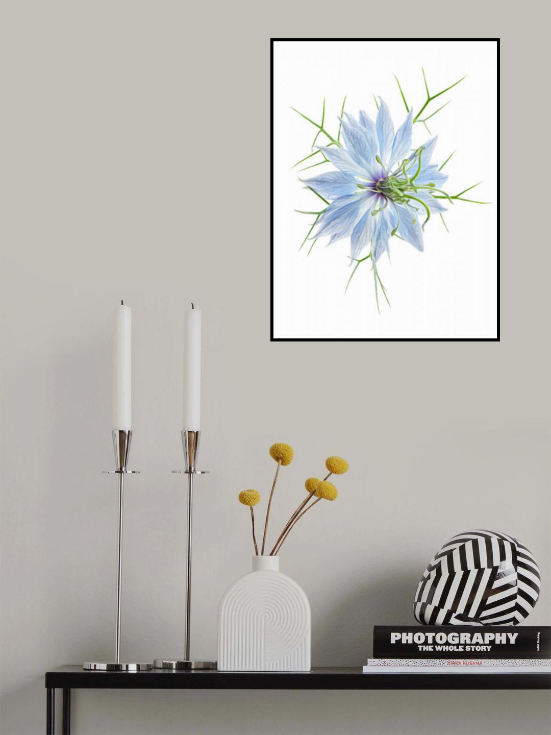 Spellbinding Poster och Canvastavla