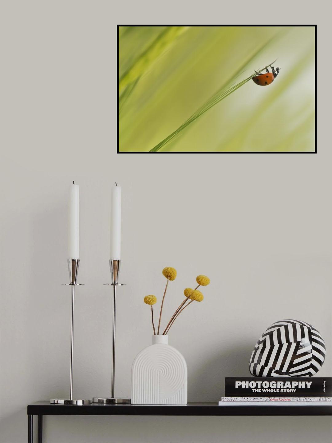 Up Poster och Canvastavla