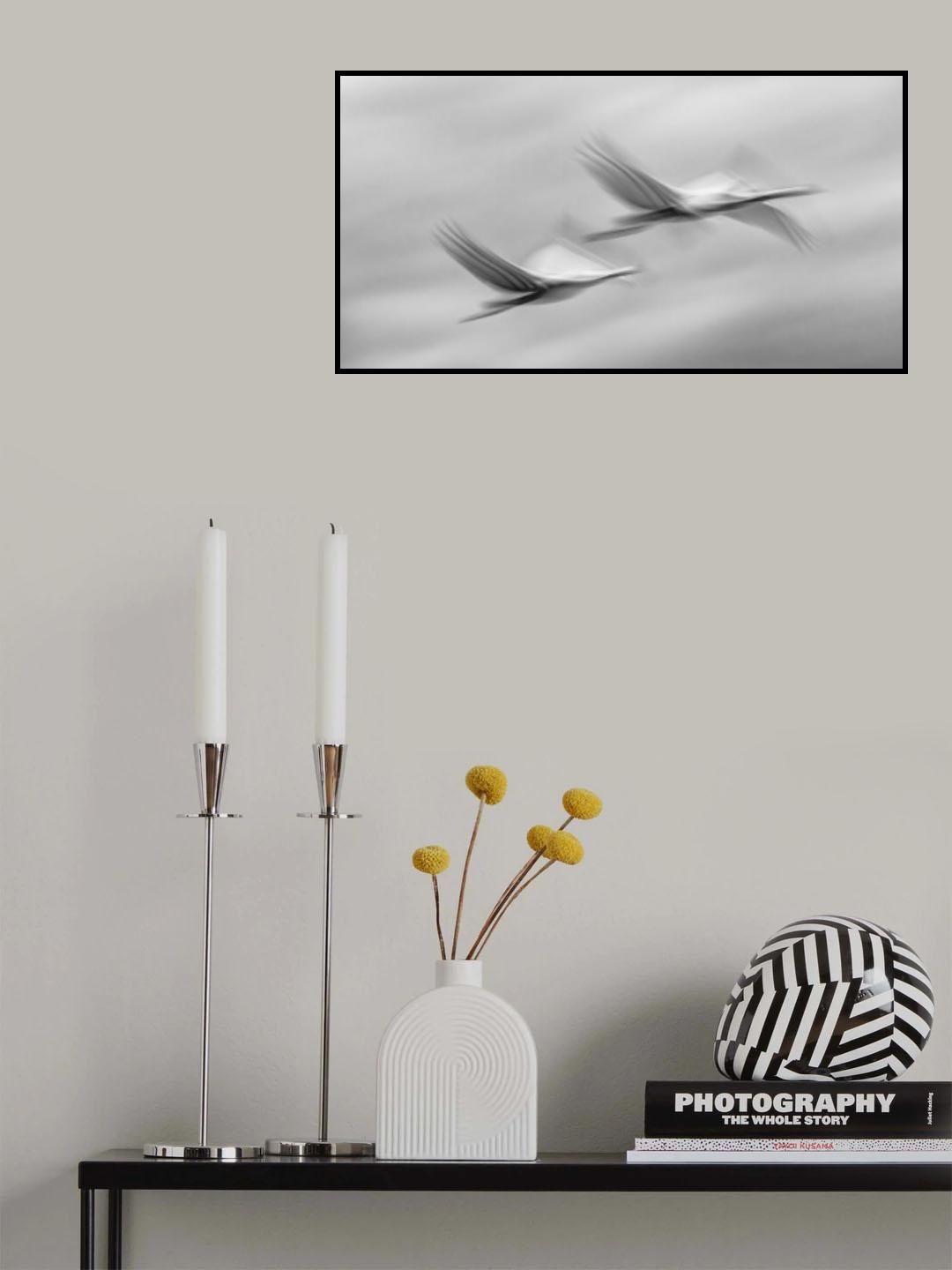 Flying together Poster och Canvastavla