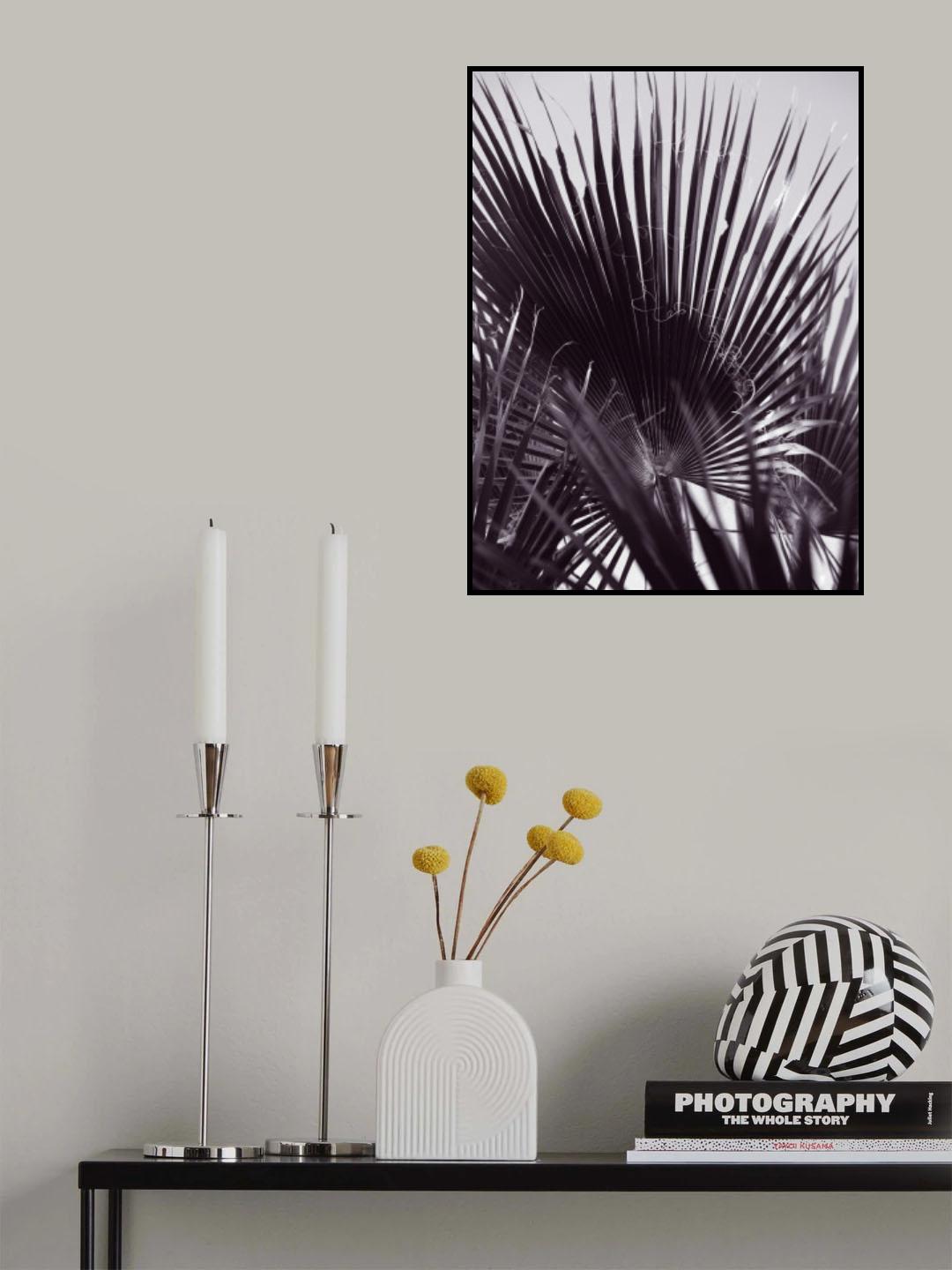 Miami Palm One Poster och Canvastavla
