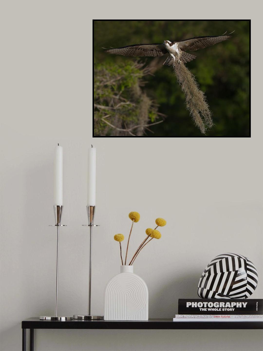The Good Provider Poster och Canvastavla