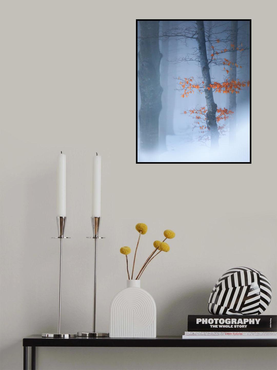 Colour & white Poster och Canvastavla
