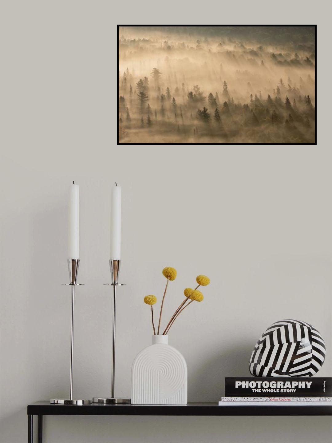 Early Morning Light Poster och Canvastavla