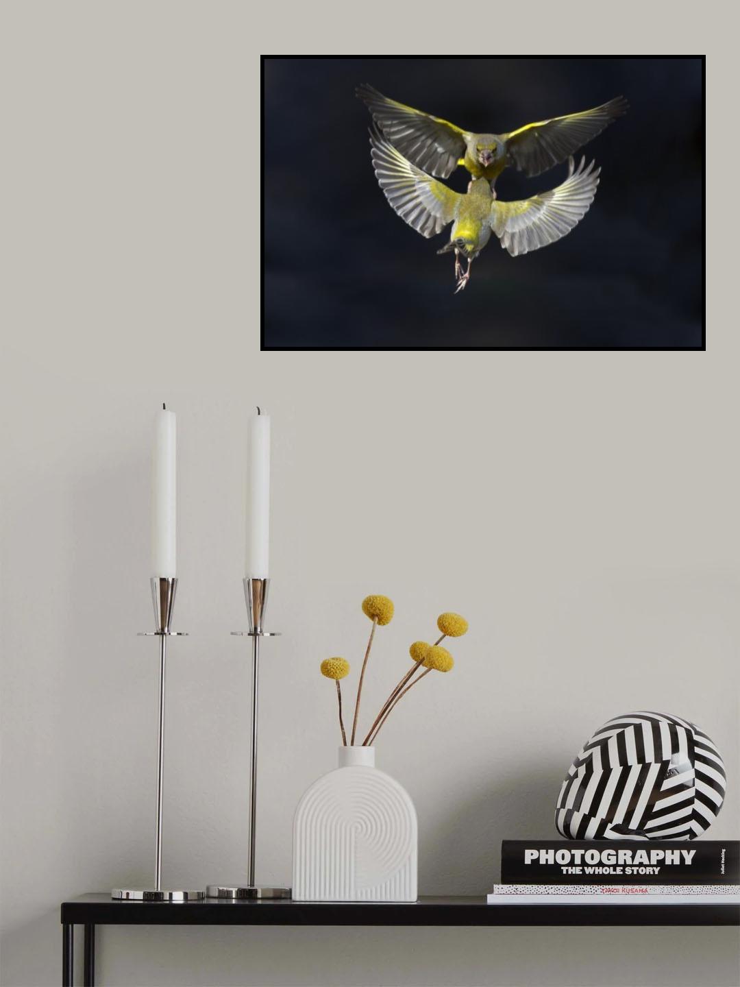Like a mirror Poster och Canvastavla