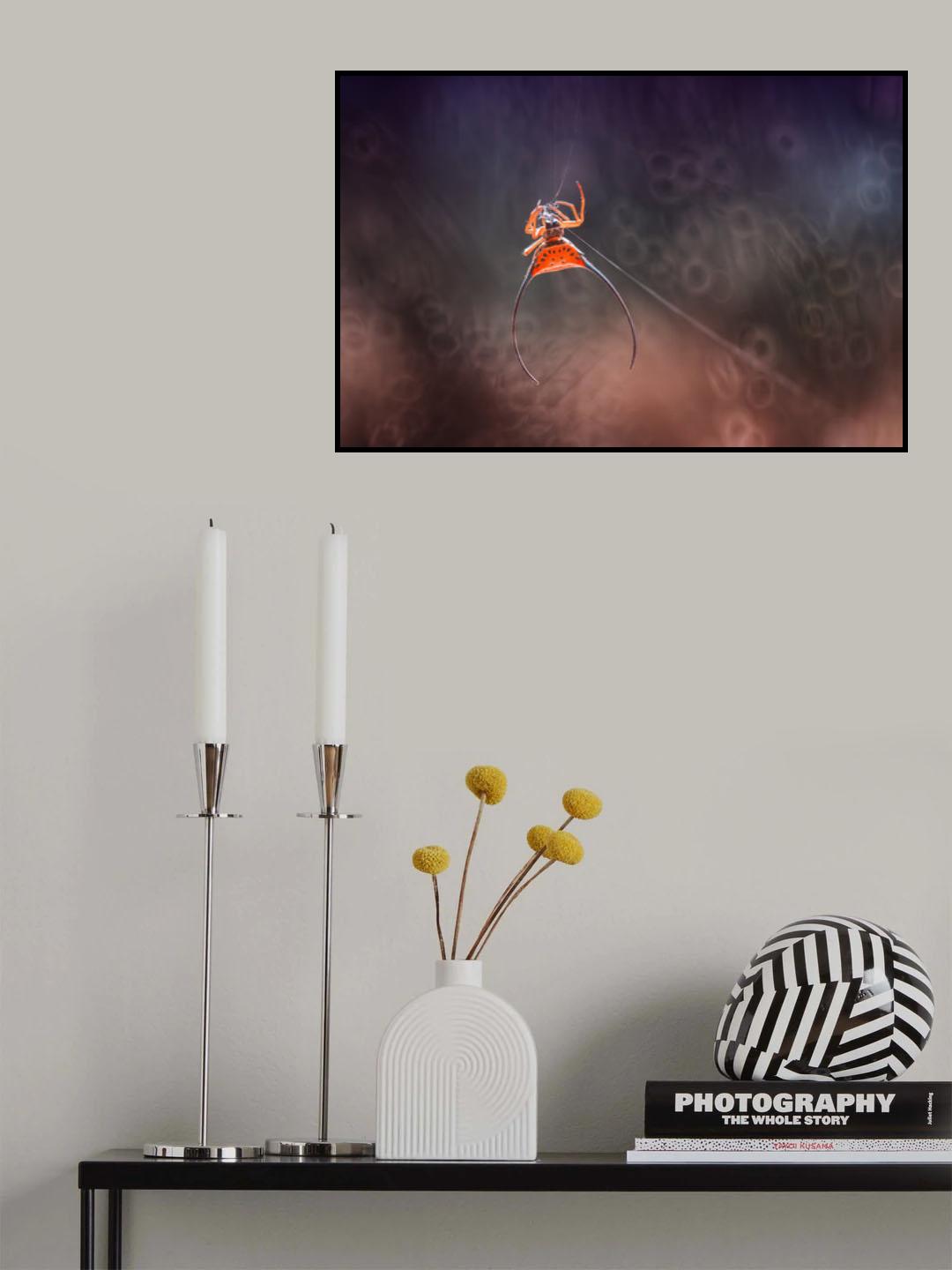 Long Horned Spider Poster och Canvastavla