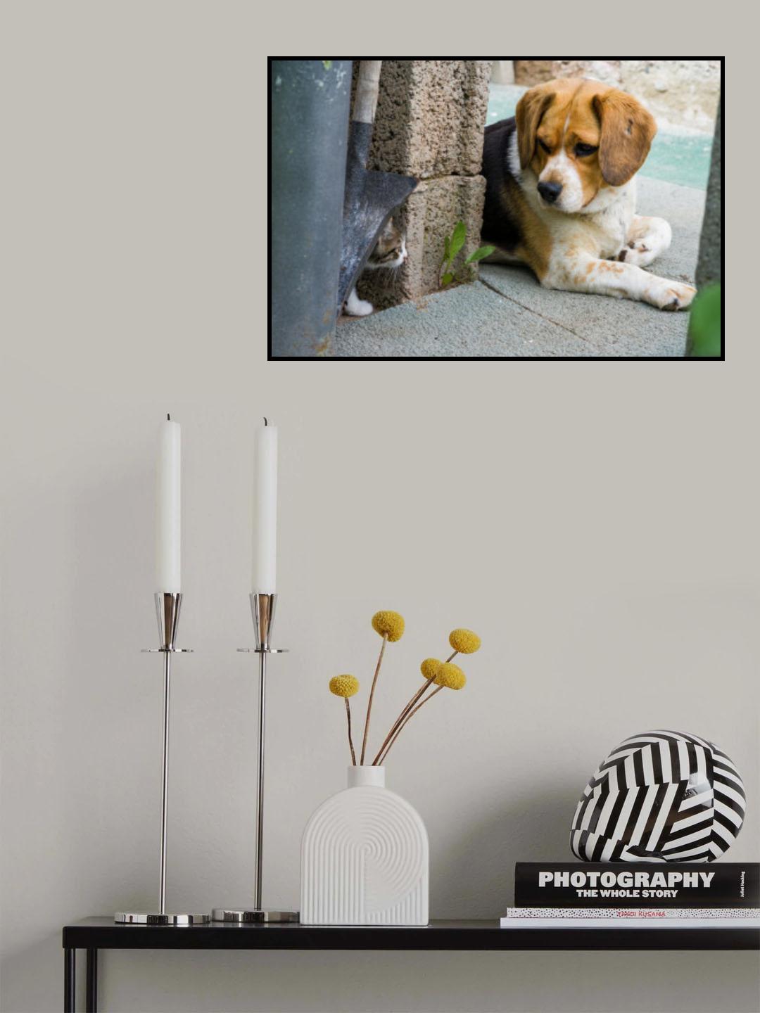 Surprise! Poster och Canvastavla