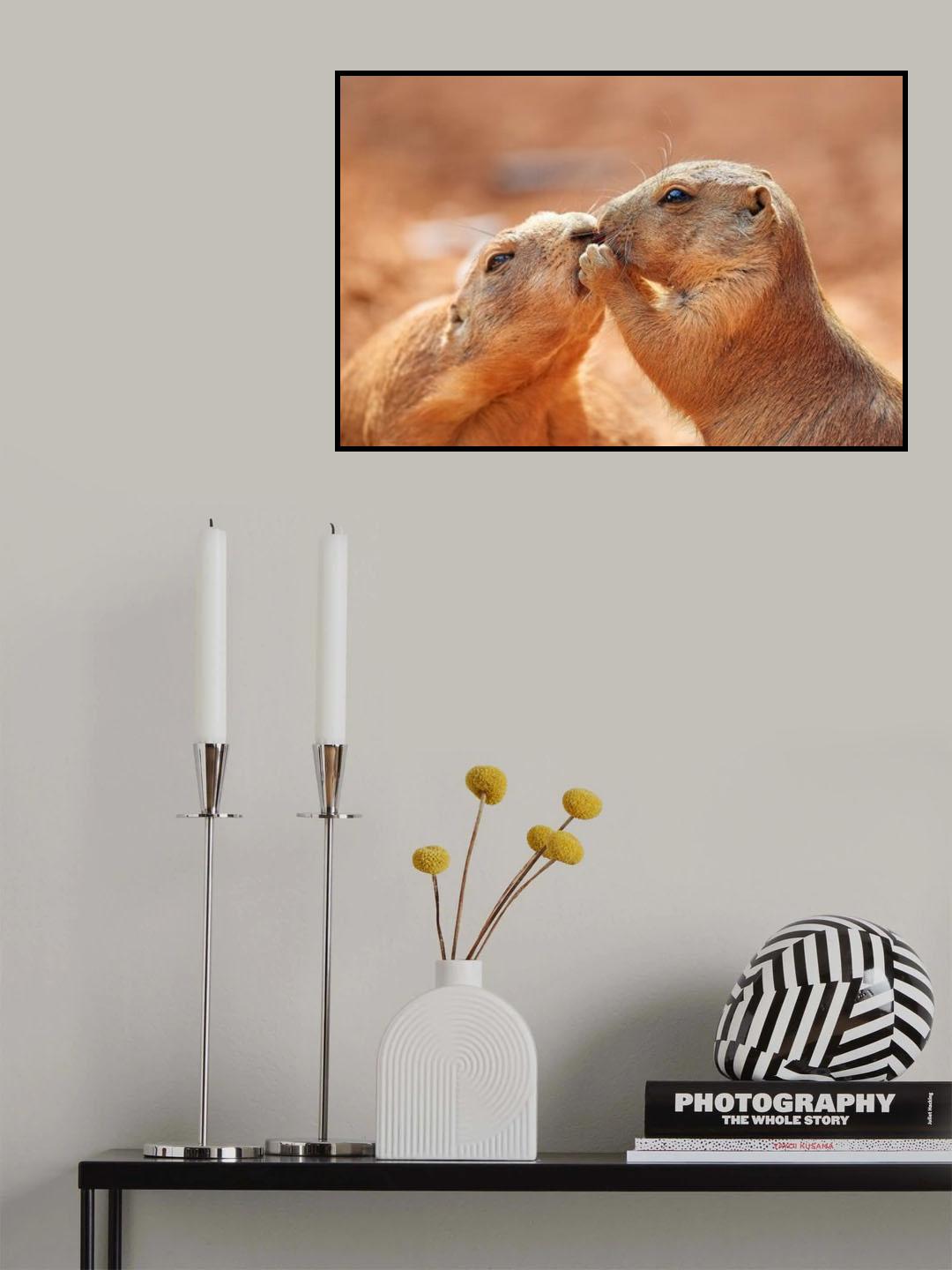 Confidant Poster och Canvastavla