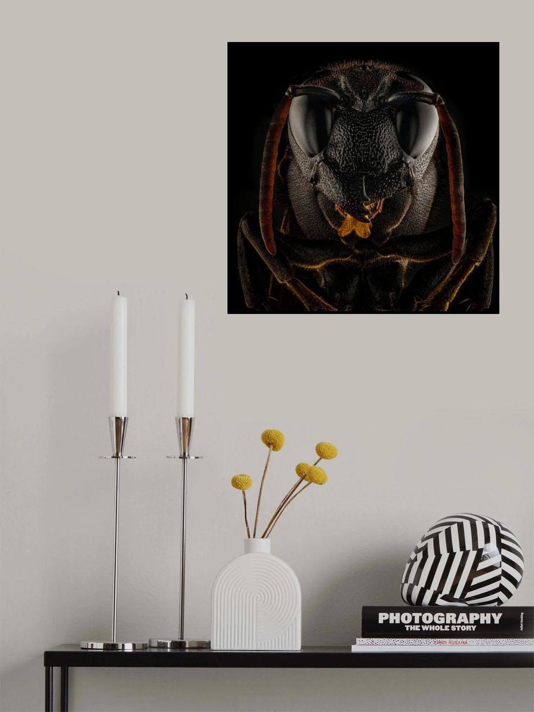 The Dark Knight Poster och Canvastavla