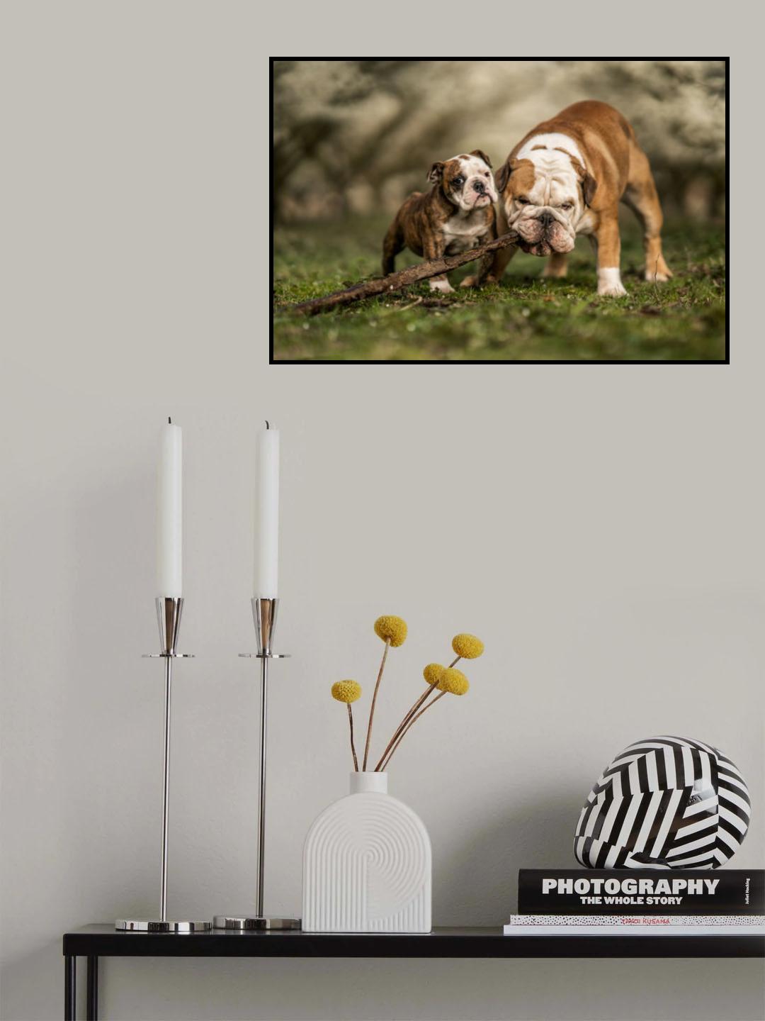 Busy with a stick Poster och Canvastavla