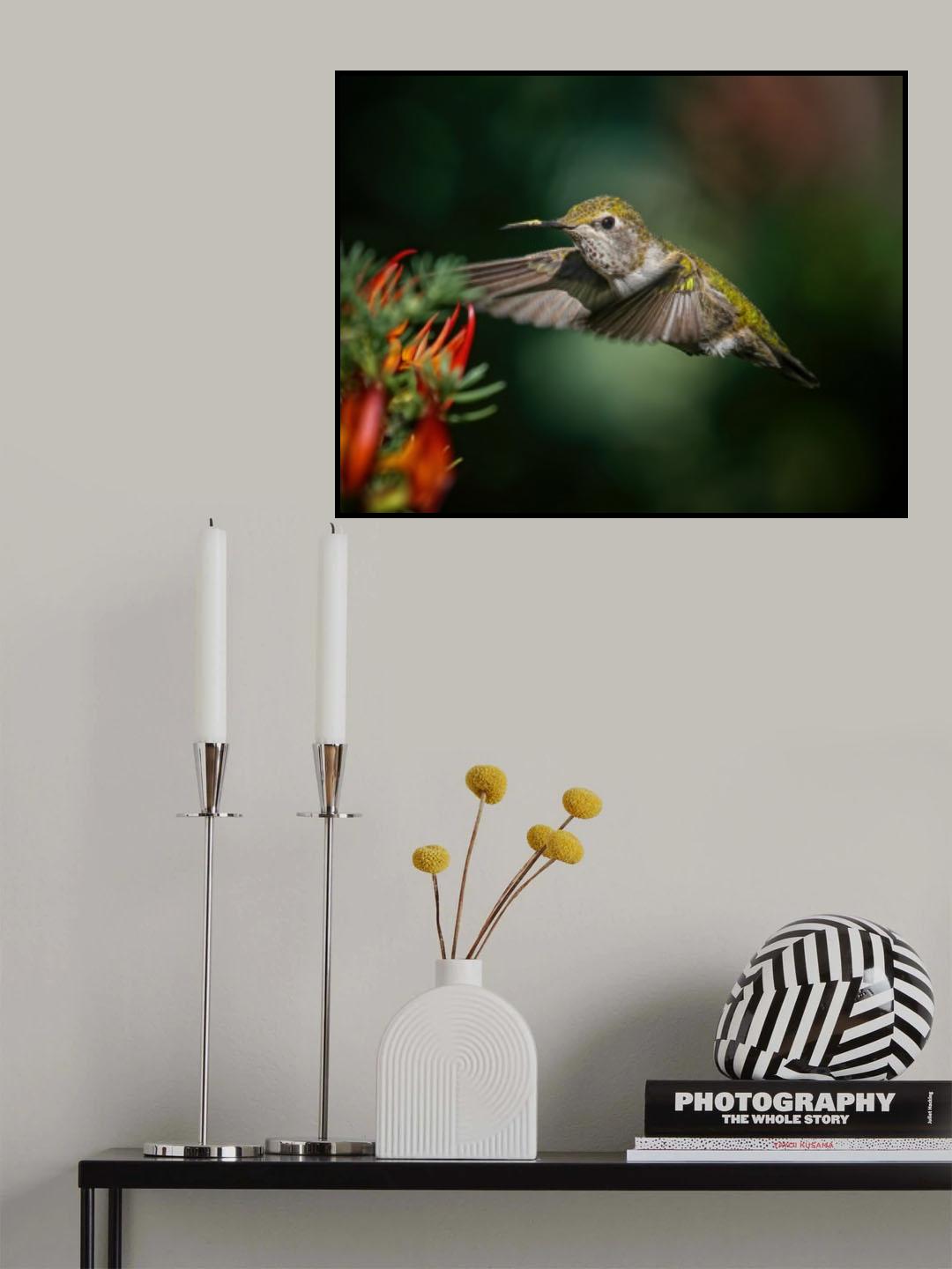 Feeding Again Poster och Canvastavla