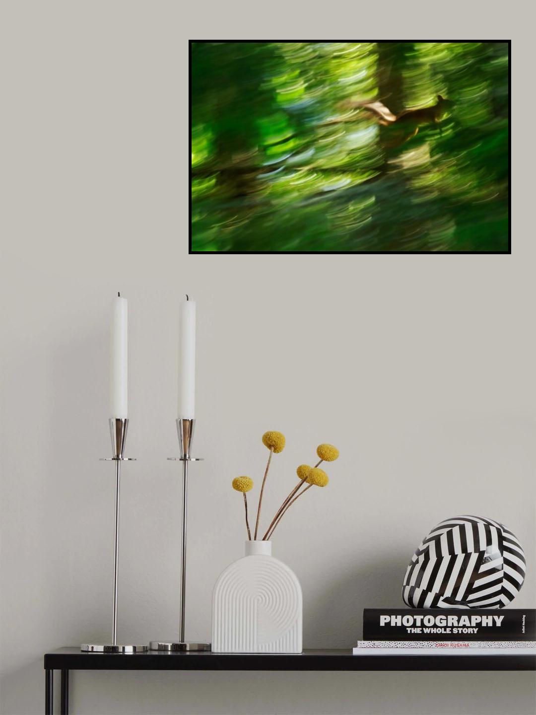 squirrel Poster och Canvastavla