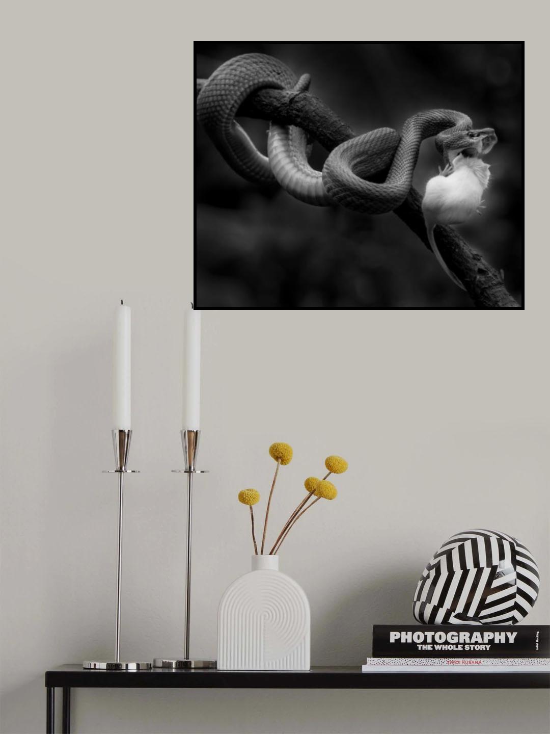 Gotchaa Poster och Canvastavla