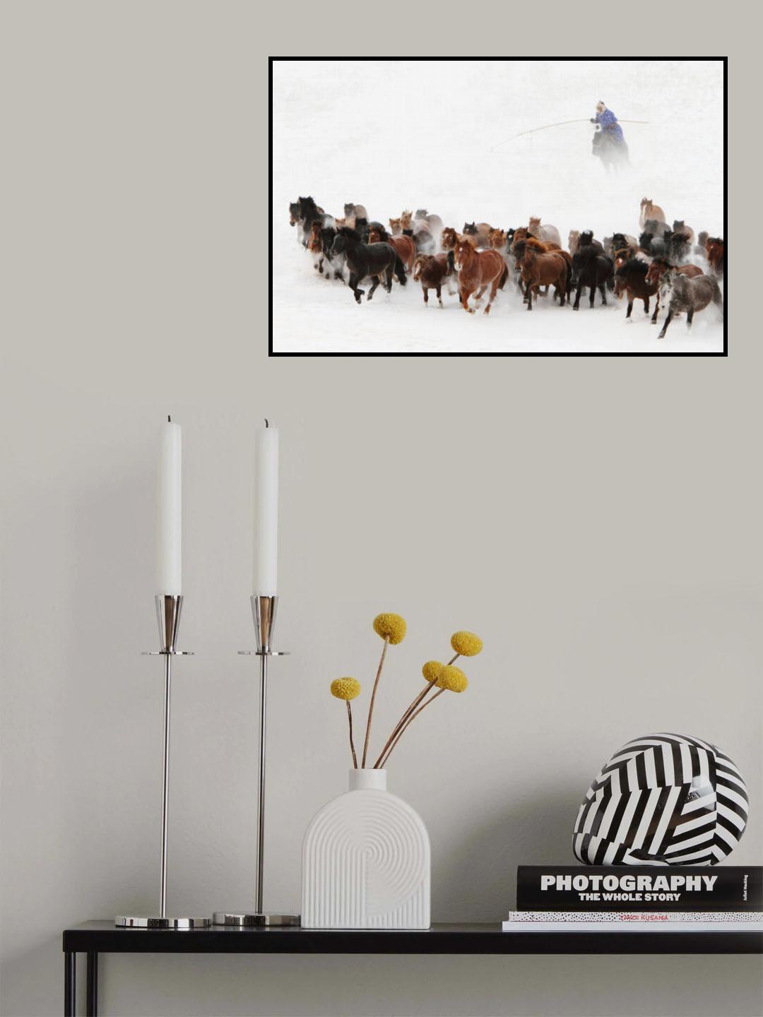 Horse run in the snow Poster och Canvastavla