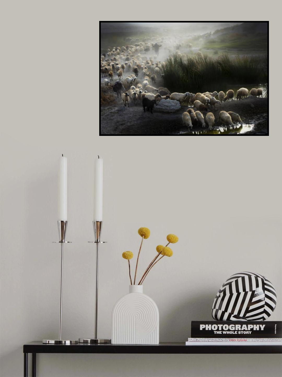 Shepherd Poster och Canvastavla