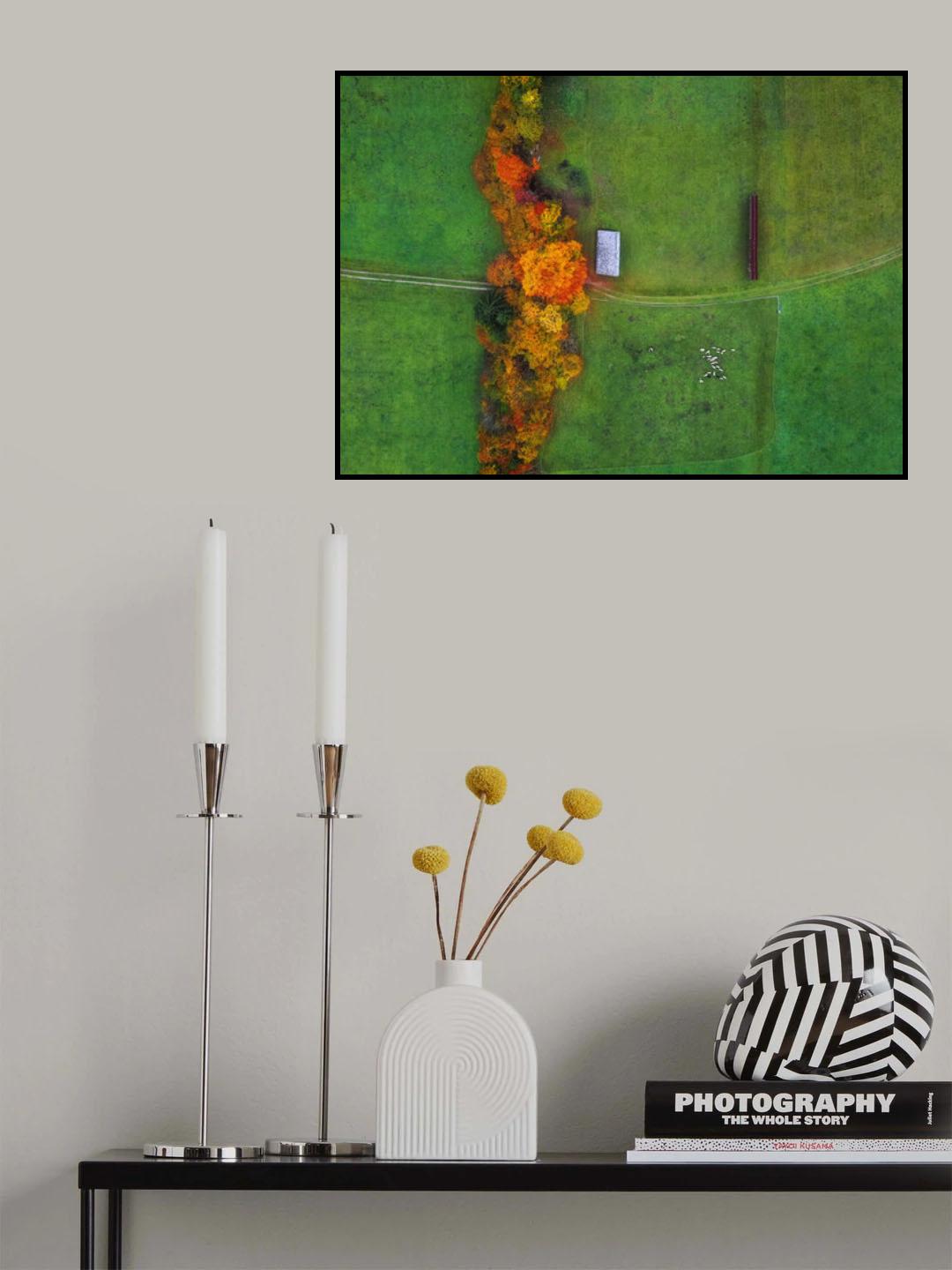Sheep Poster och Canvastavla