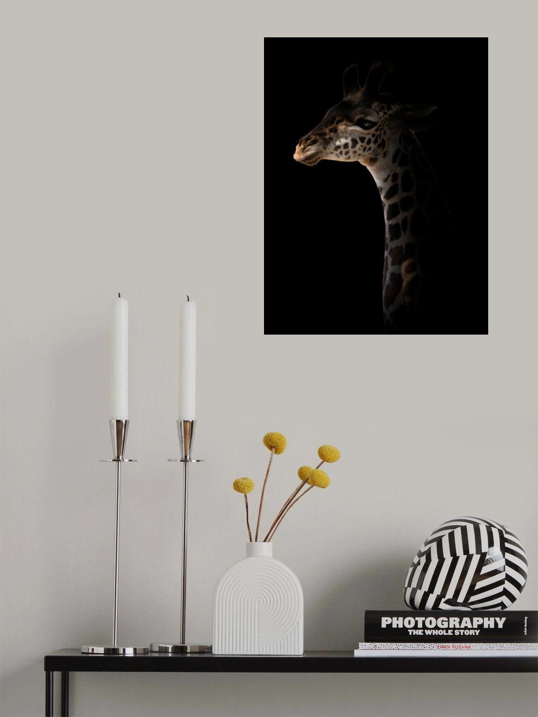 Poster och Canvastavla