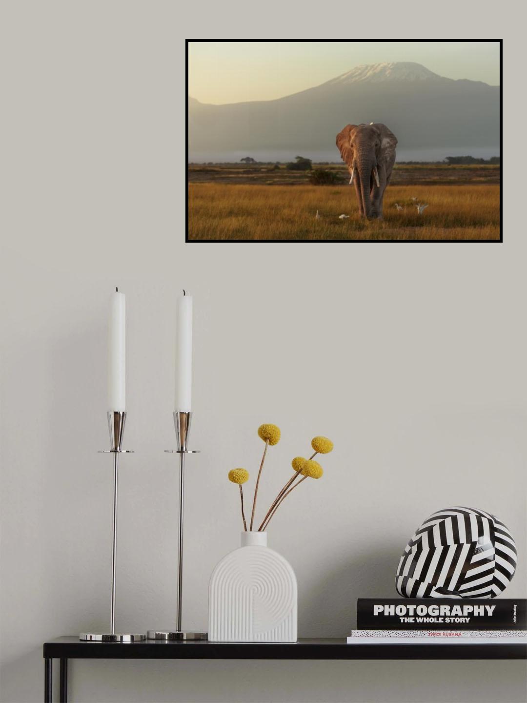 Under the roof of Africa Poster och Canvastavla