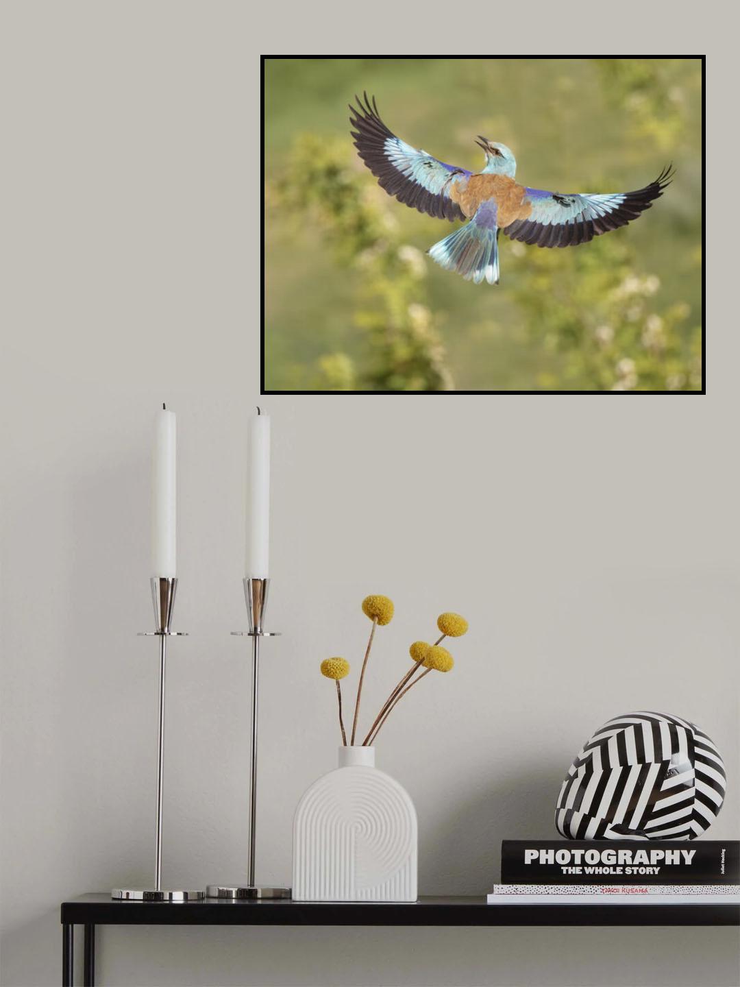 Bird in flight Poster och Canvastavla