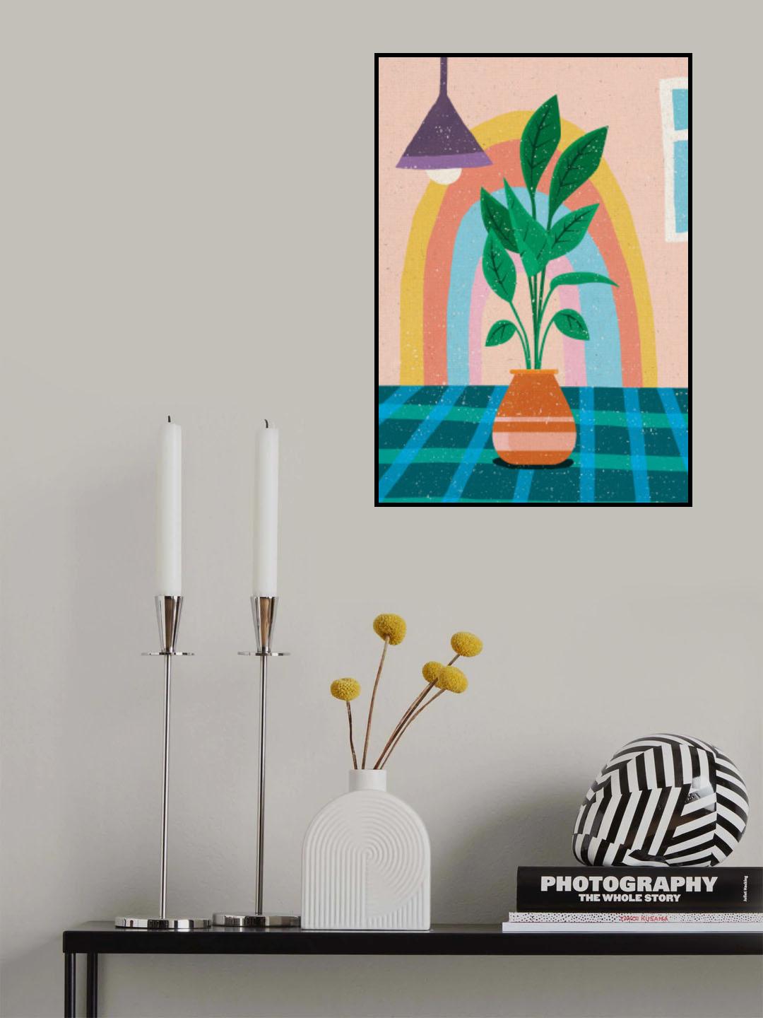 Rainbow in the Living Room