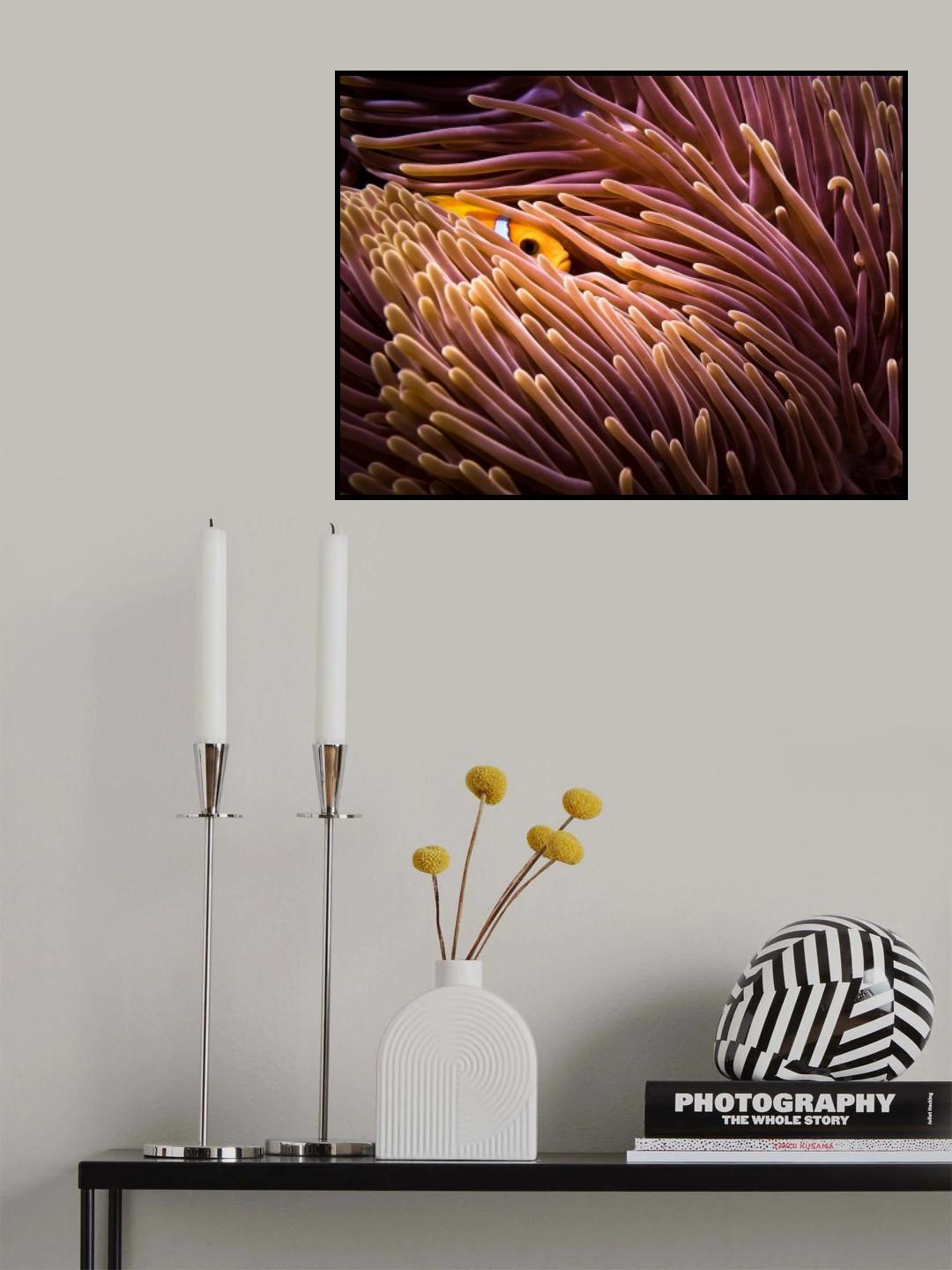 Hide and seek... Poster och Canvastavla