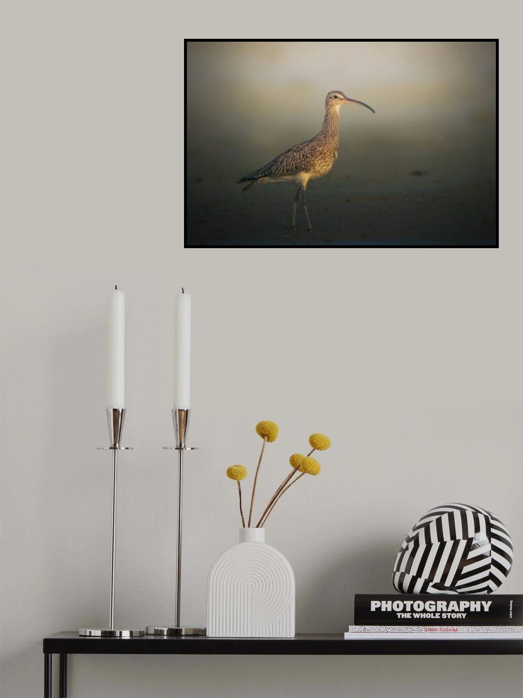 Wimbrel Poster och Canvastavla