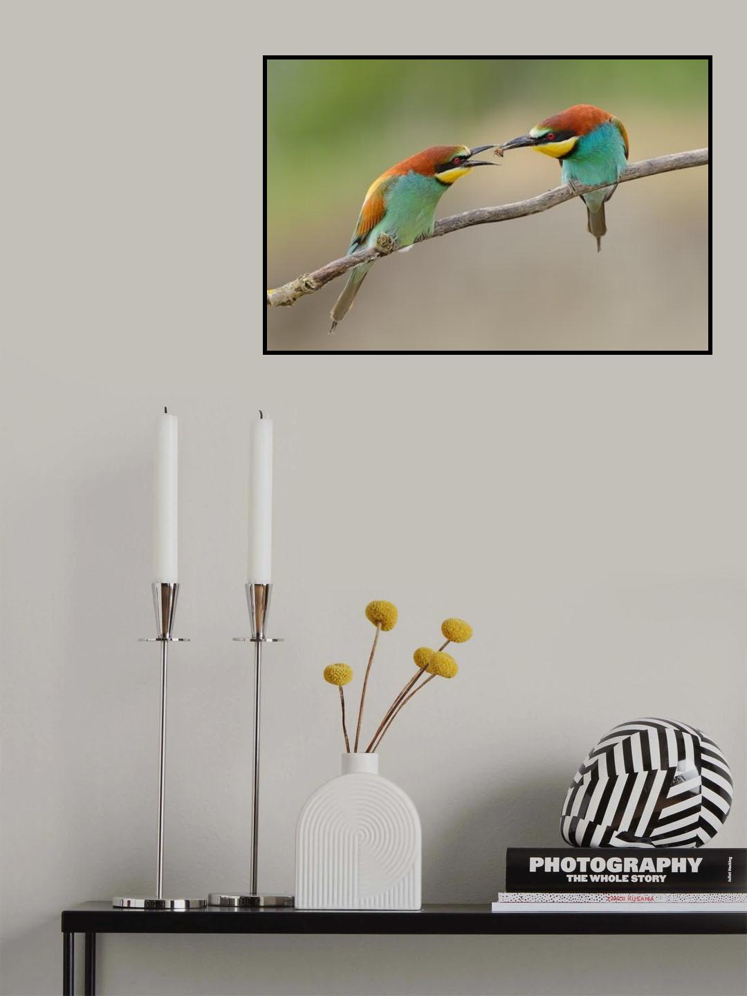 Love gift Poster och Canvastavla