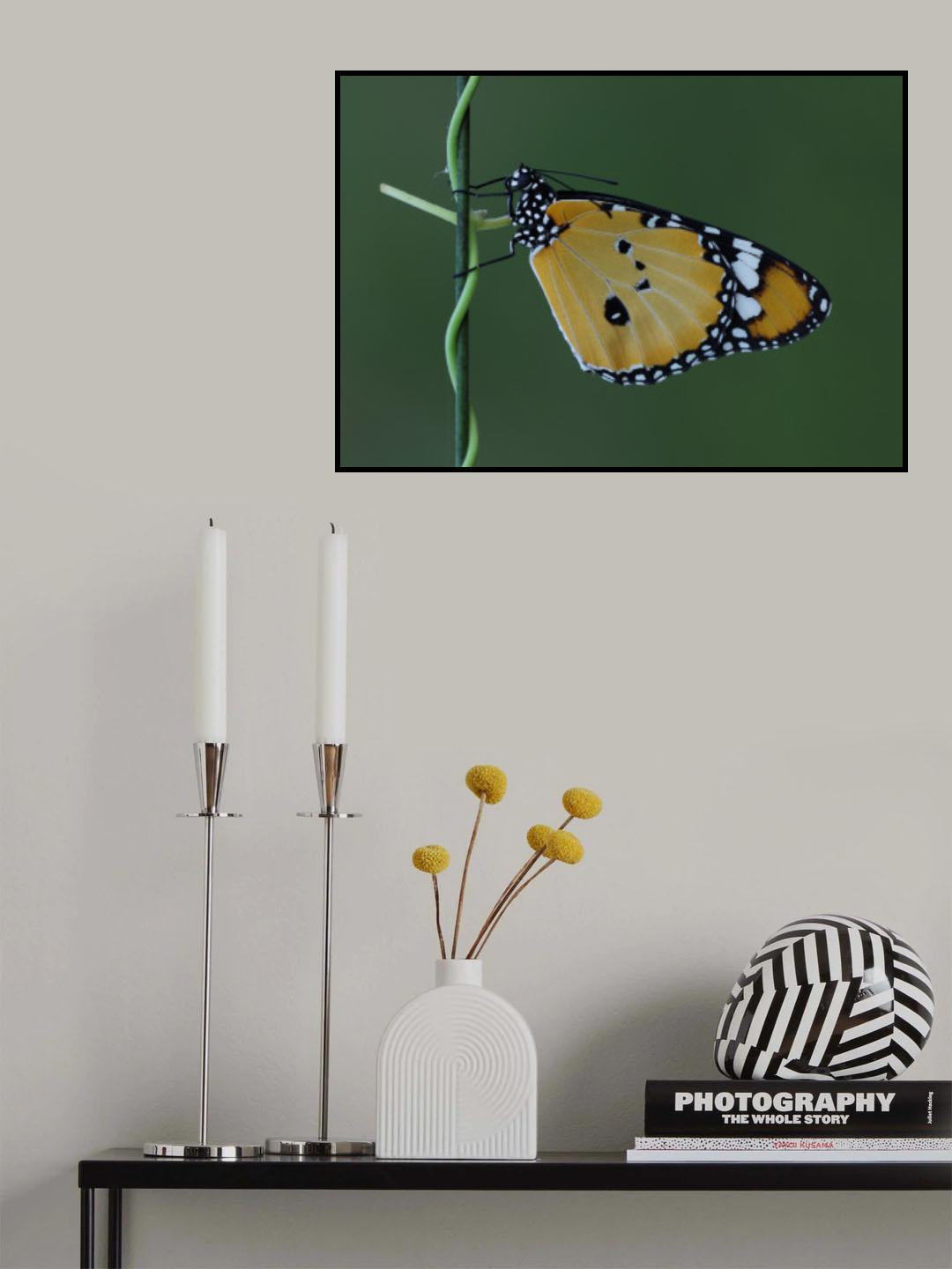 African Queen Poster och Canvastavla