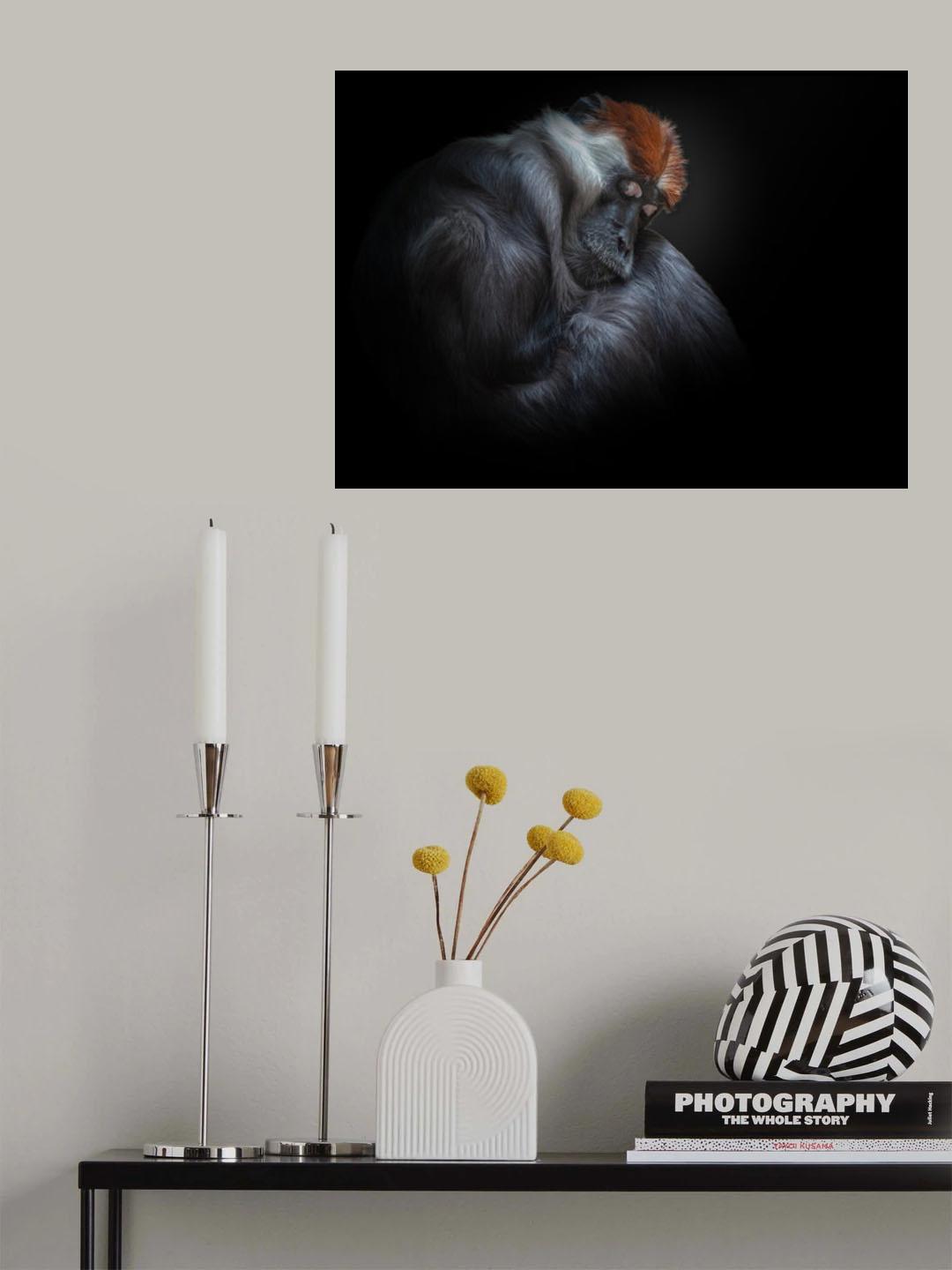 sleeping beauty Poster och Canvastavla