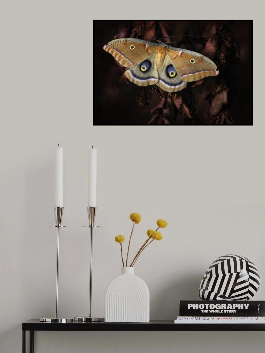 Polyphemus Poster och Canvastavla