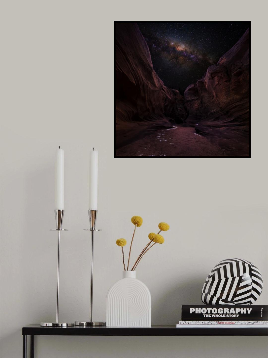 Dancing With Nature Poster och Canvastavla