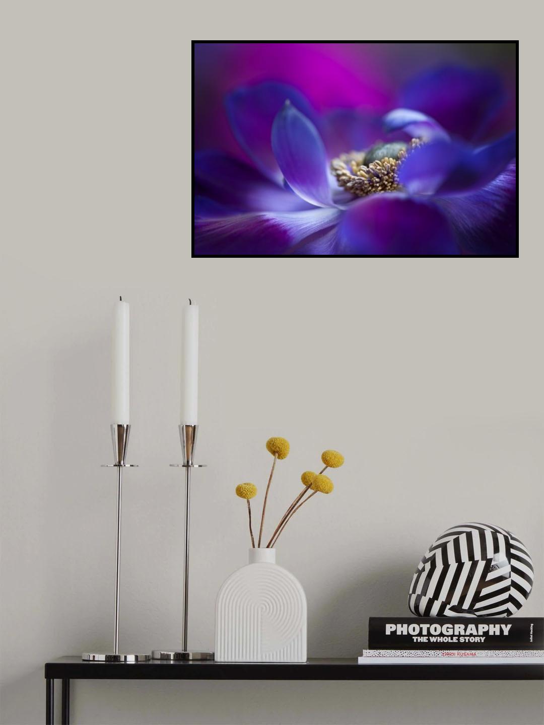 Windflower Poster och Canvastavla