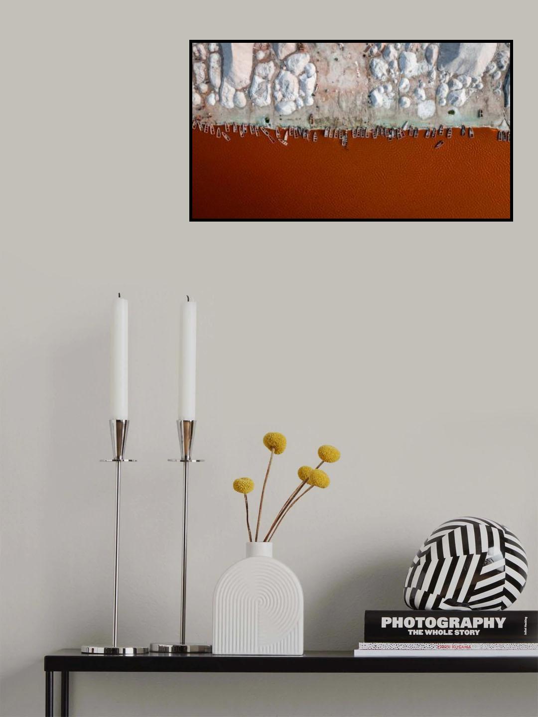 Feeding on Salt Poster och Canvastavla
