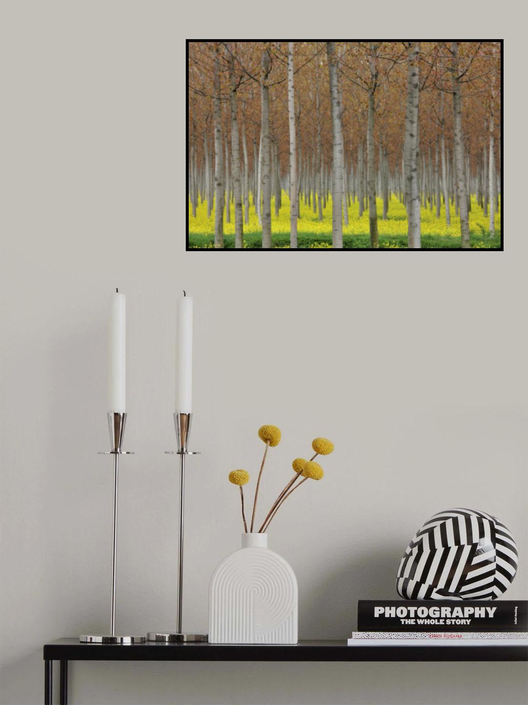 Poster och Canvastavla