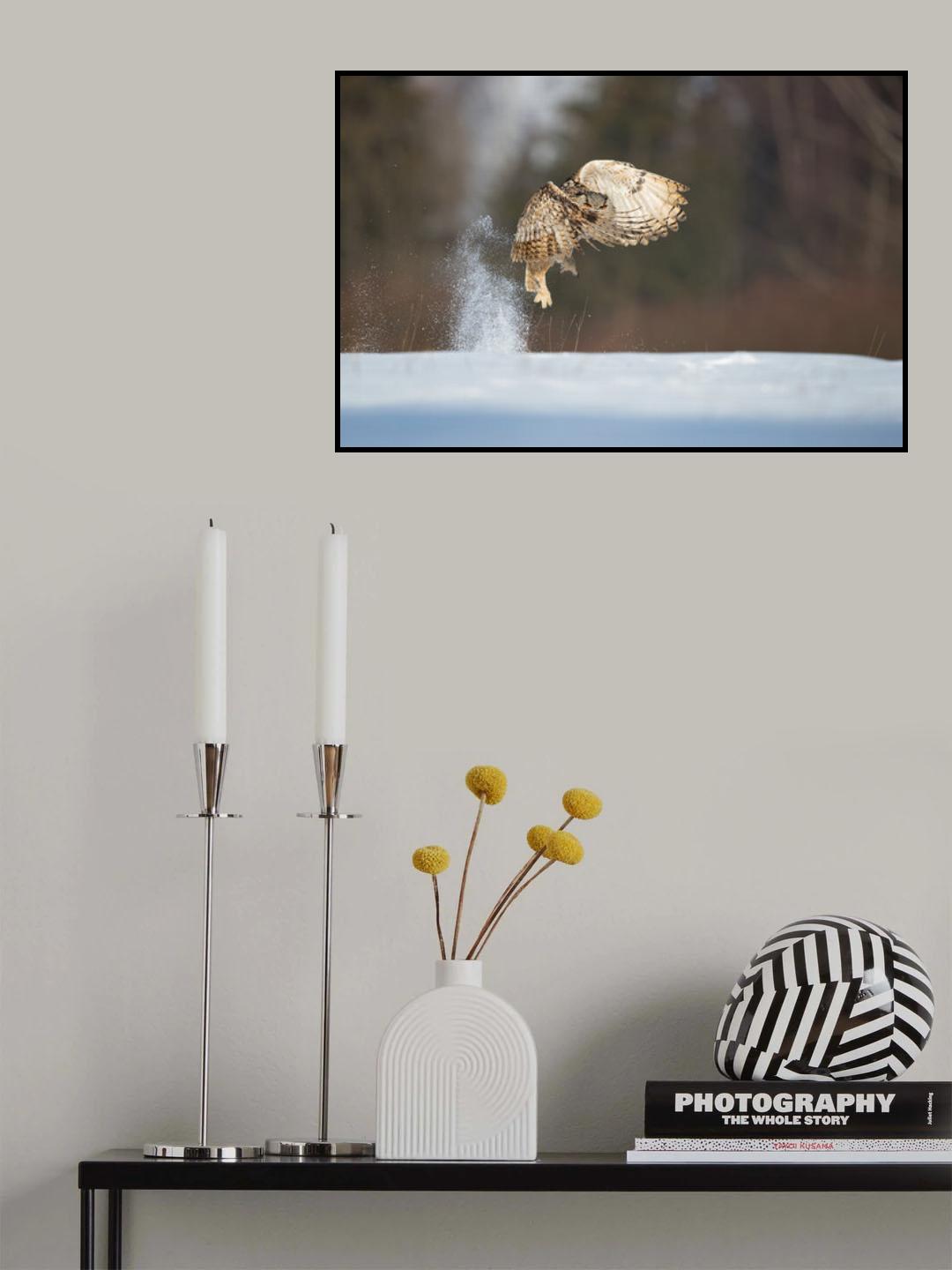 Siberian eagle owl Poster och Canvastavla