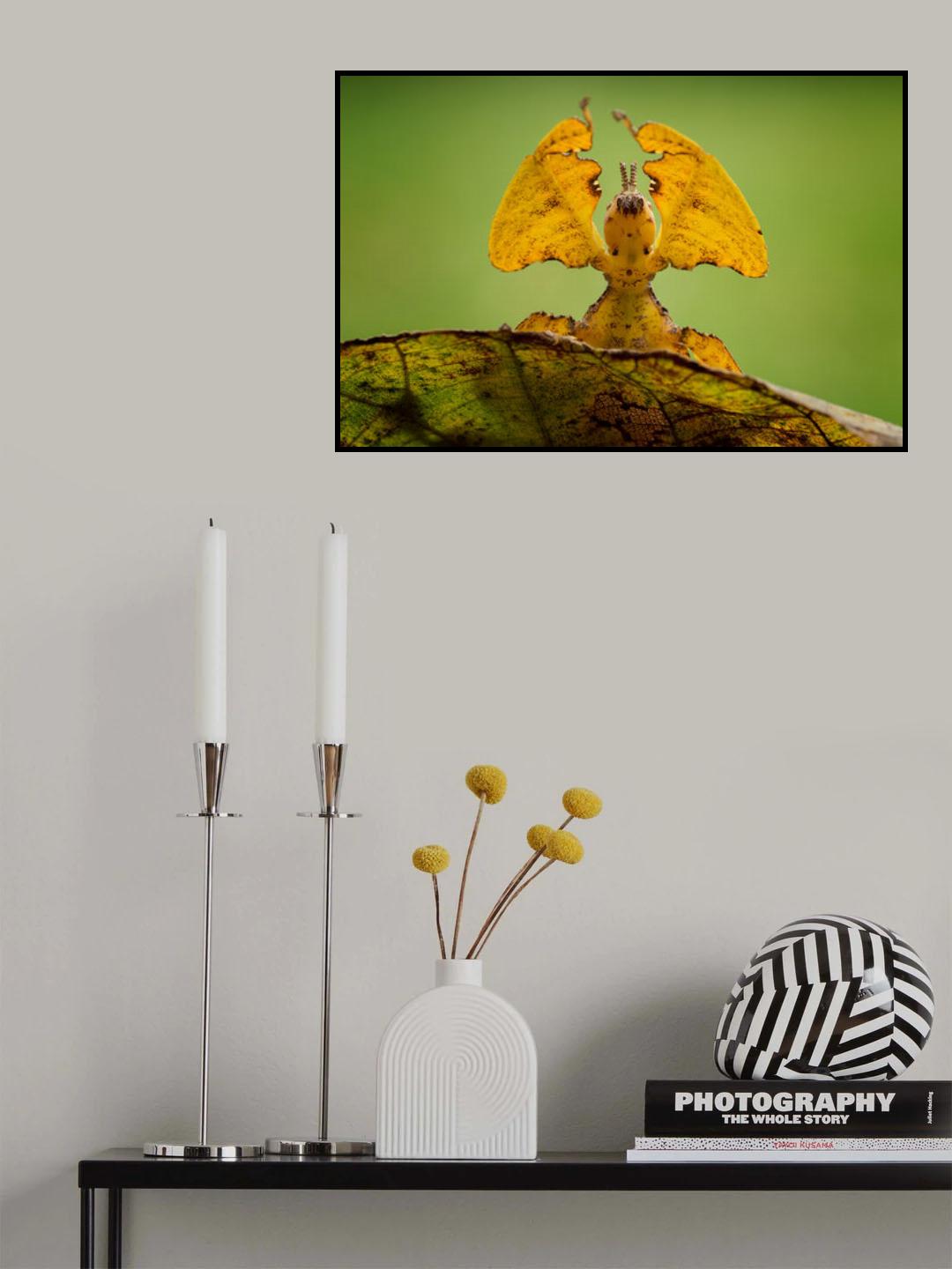 Poster och Canvastavla