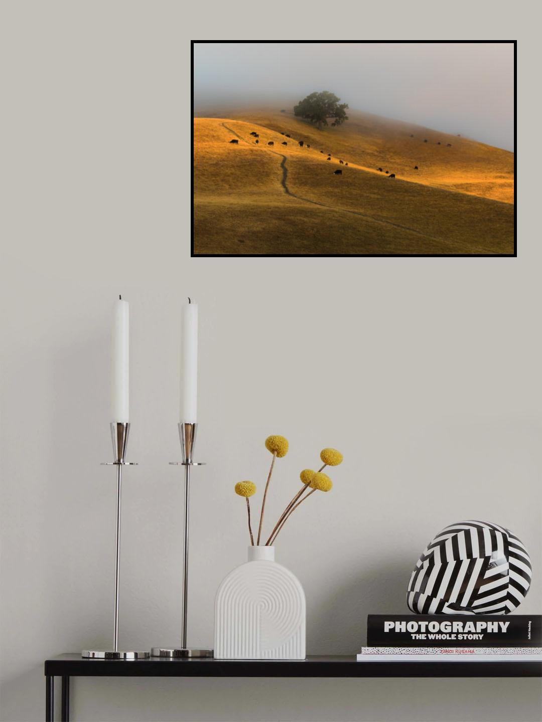 A Summer Morning in TriValley Poster och Canvastavla