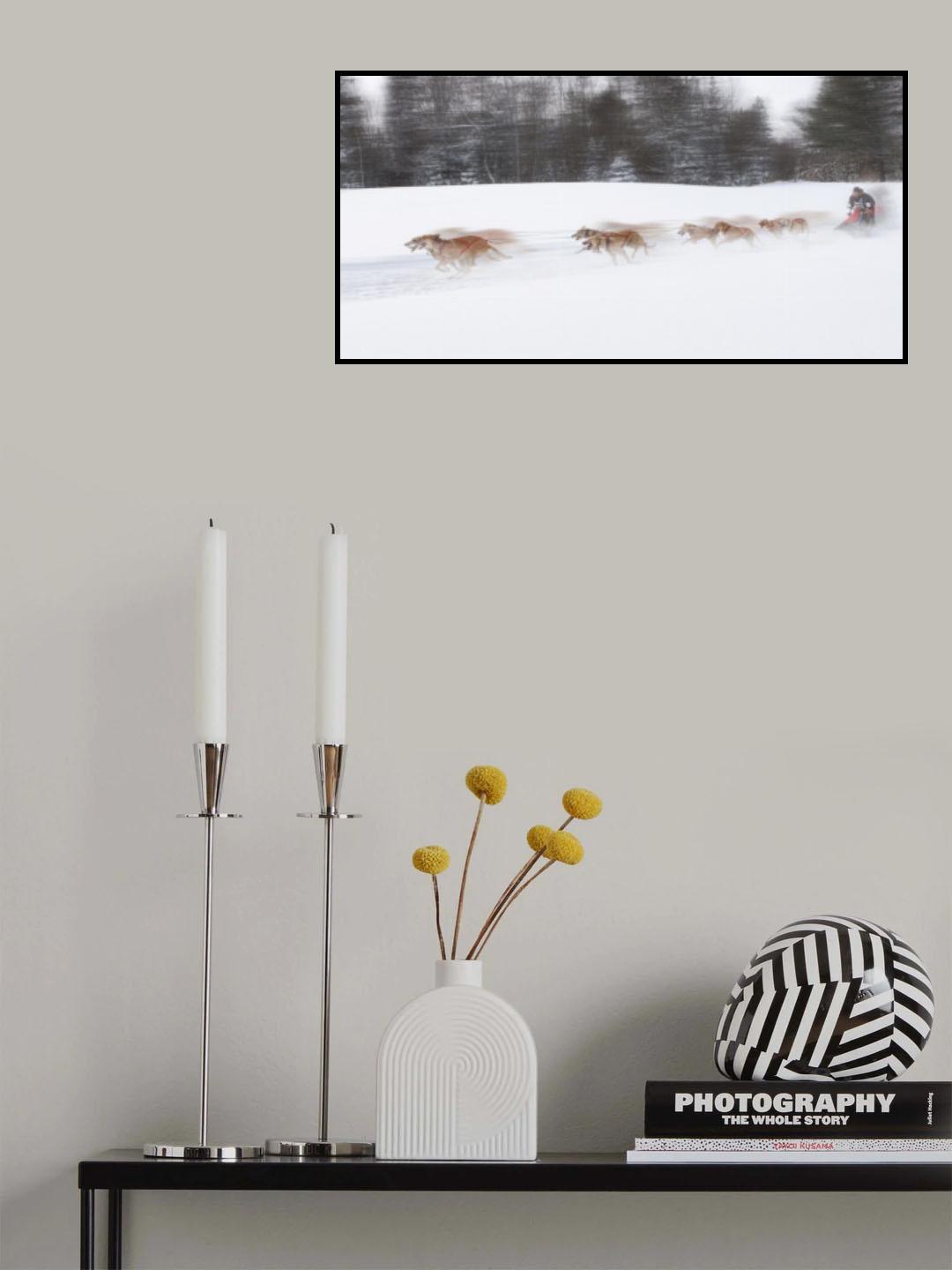 Dog Sledding Poster och Canvastavla