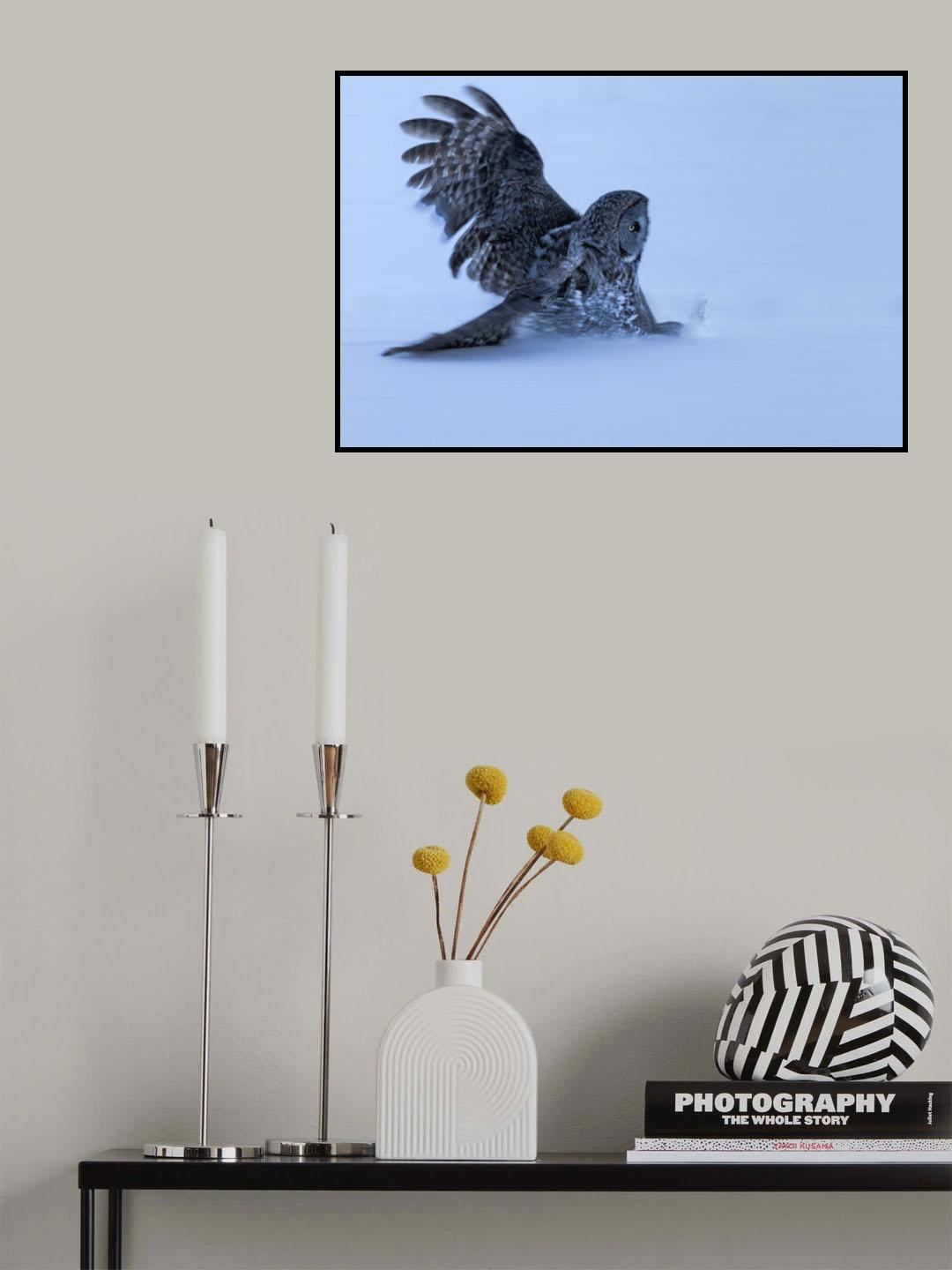Sliding in The Snow Poster och Canvastavla