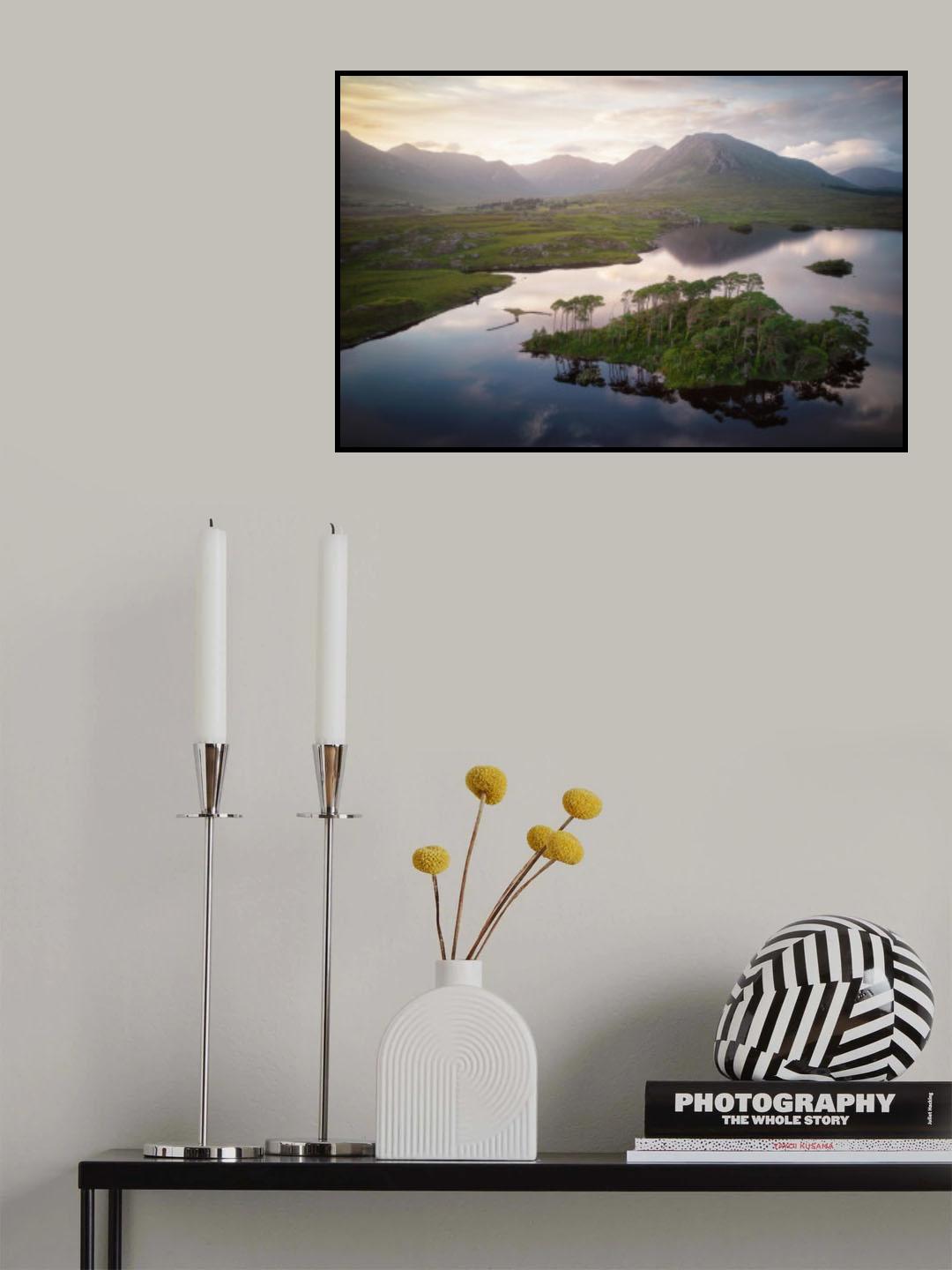 Pines refuge Poster och Canvastavla