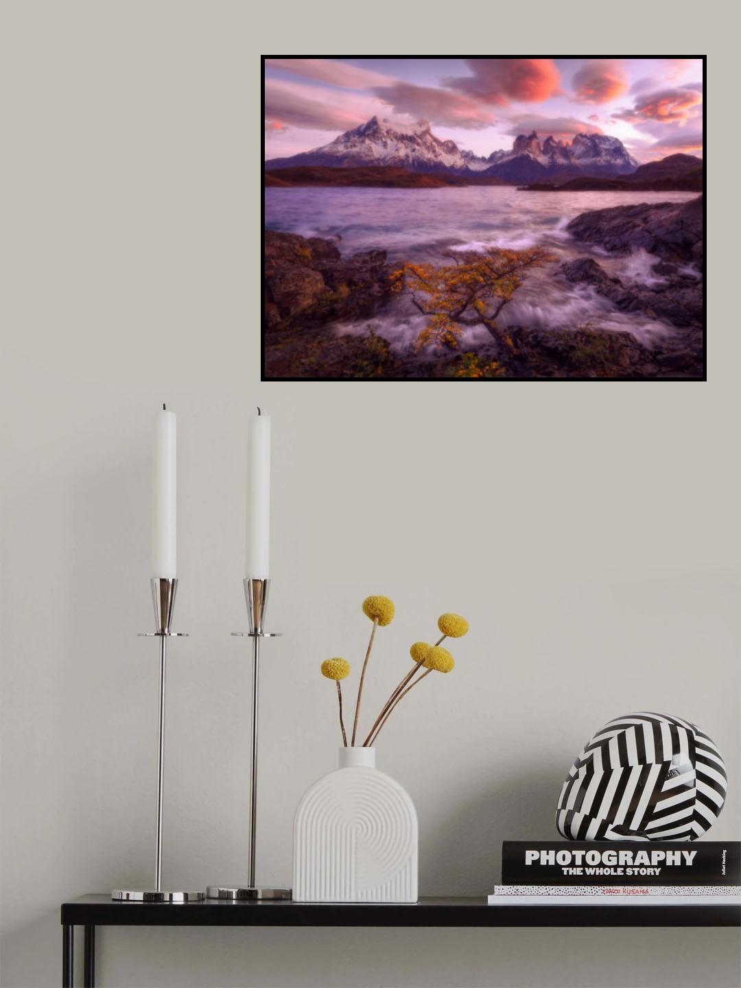 Poster och Canvastavla