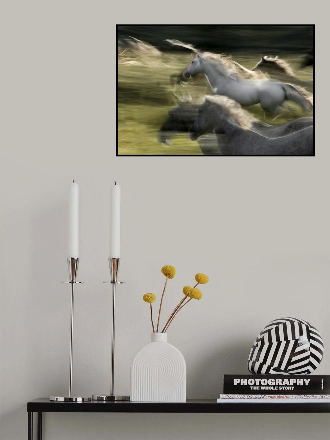 Fly Poster och Canvastavla